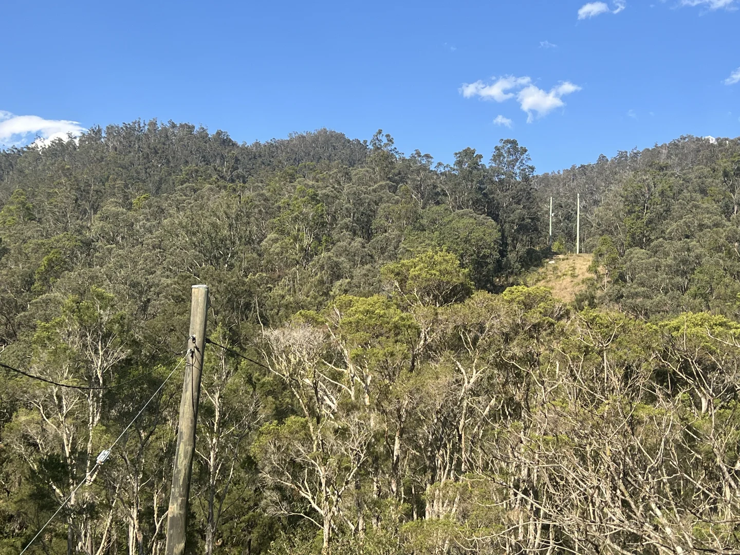 Additional image 8 of 179 Petroi Road, Lower Creek NSW 2440