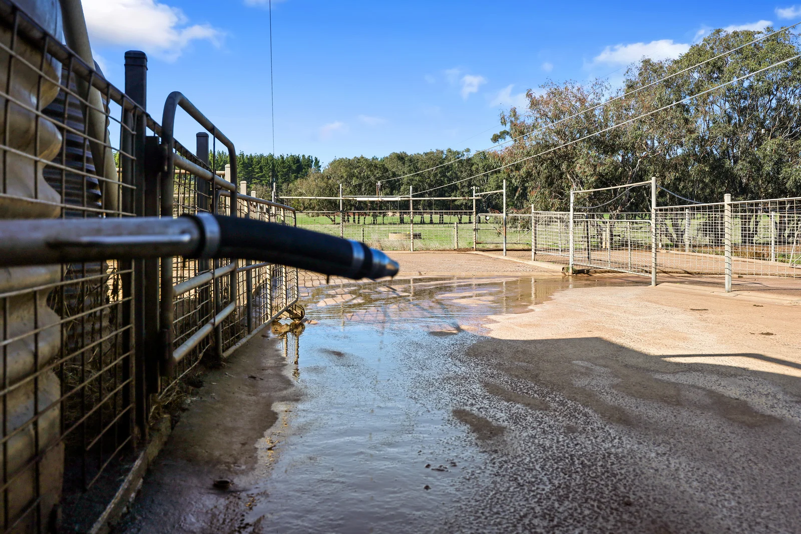 Additional image 17 of 140 Savins Road, Condah VIC 3303