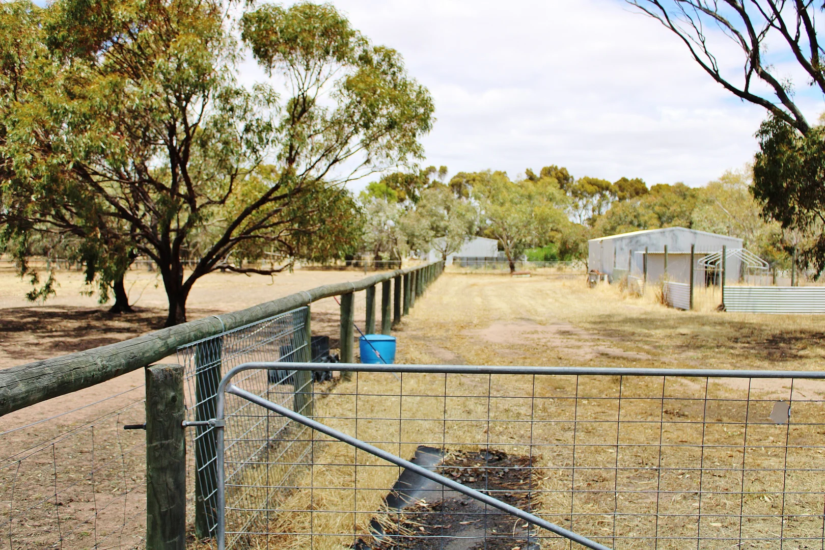 Additional image 32 of 808 Beaufort Street, Wagin WA 6315