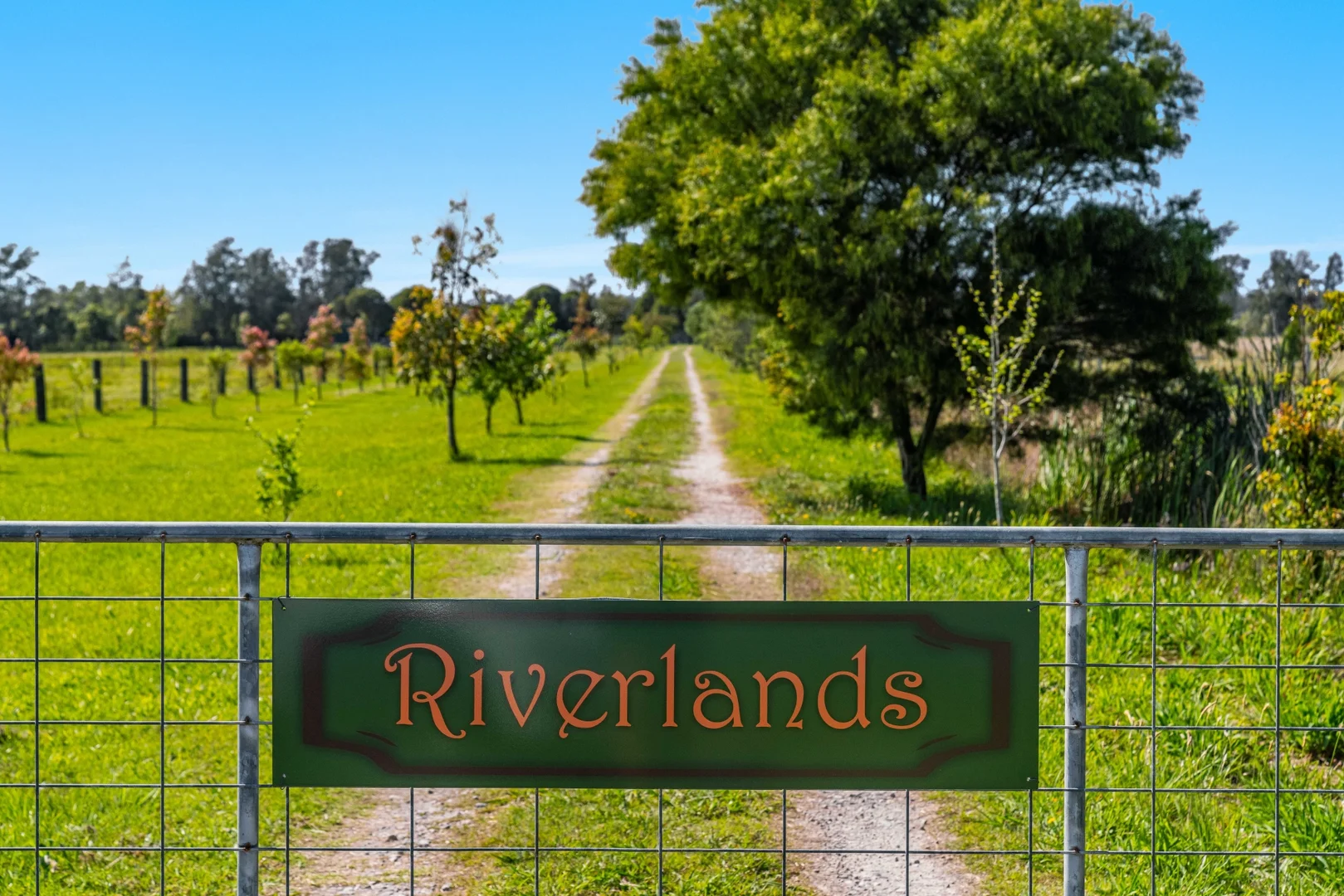 Additional image 2 of Gillies Lane, Palmers Island NSW 2463