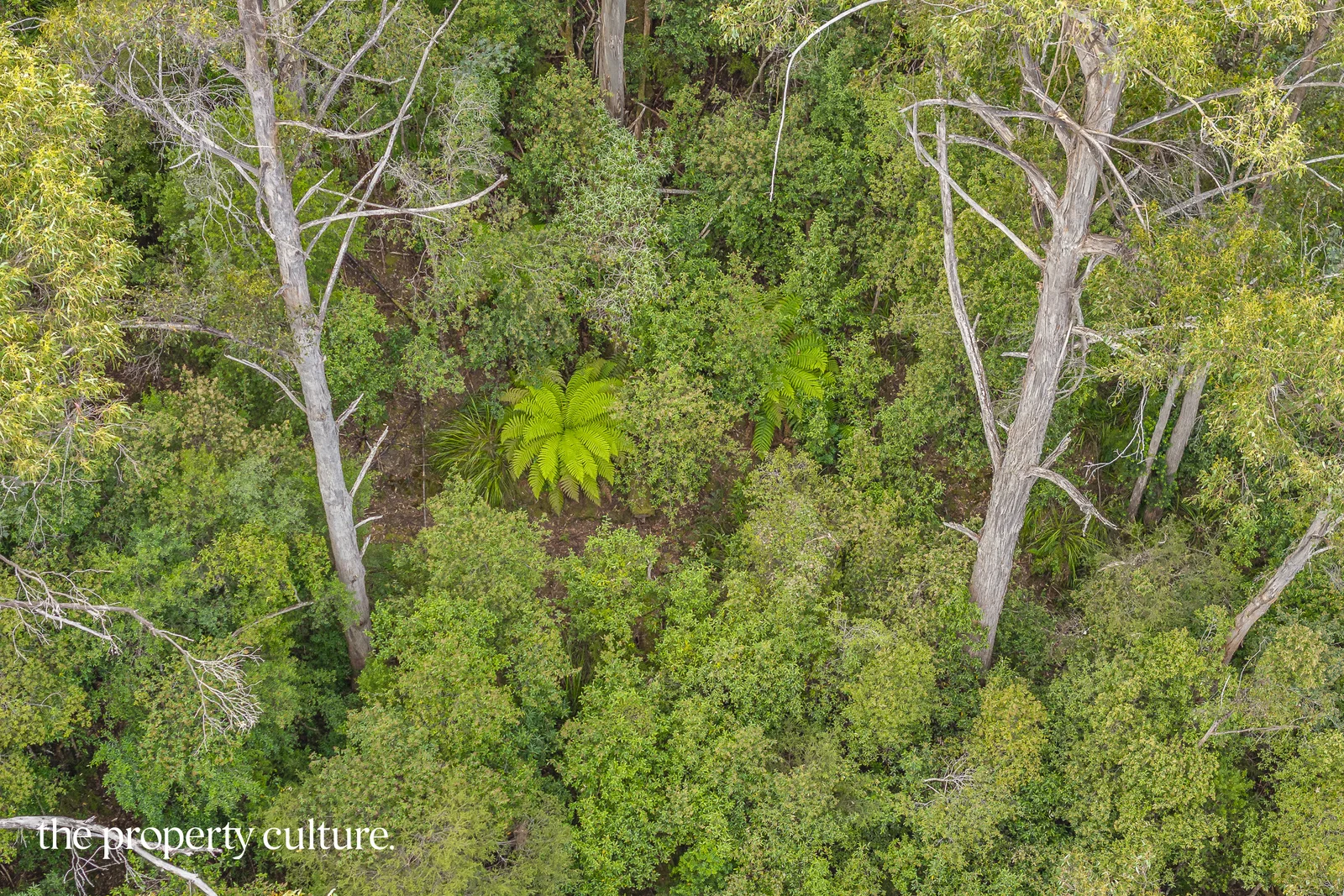 Additional image 20 of 2 Tobys Hill Rd, Cygnet TAS 7112