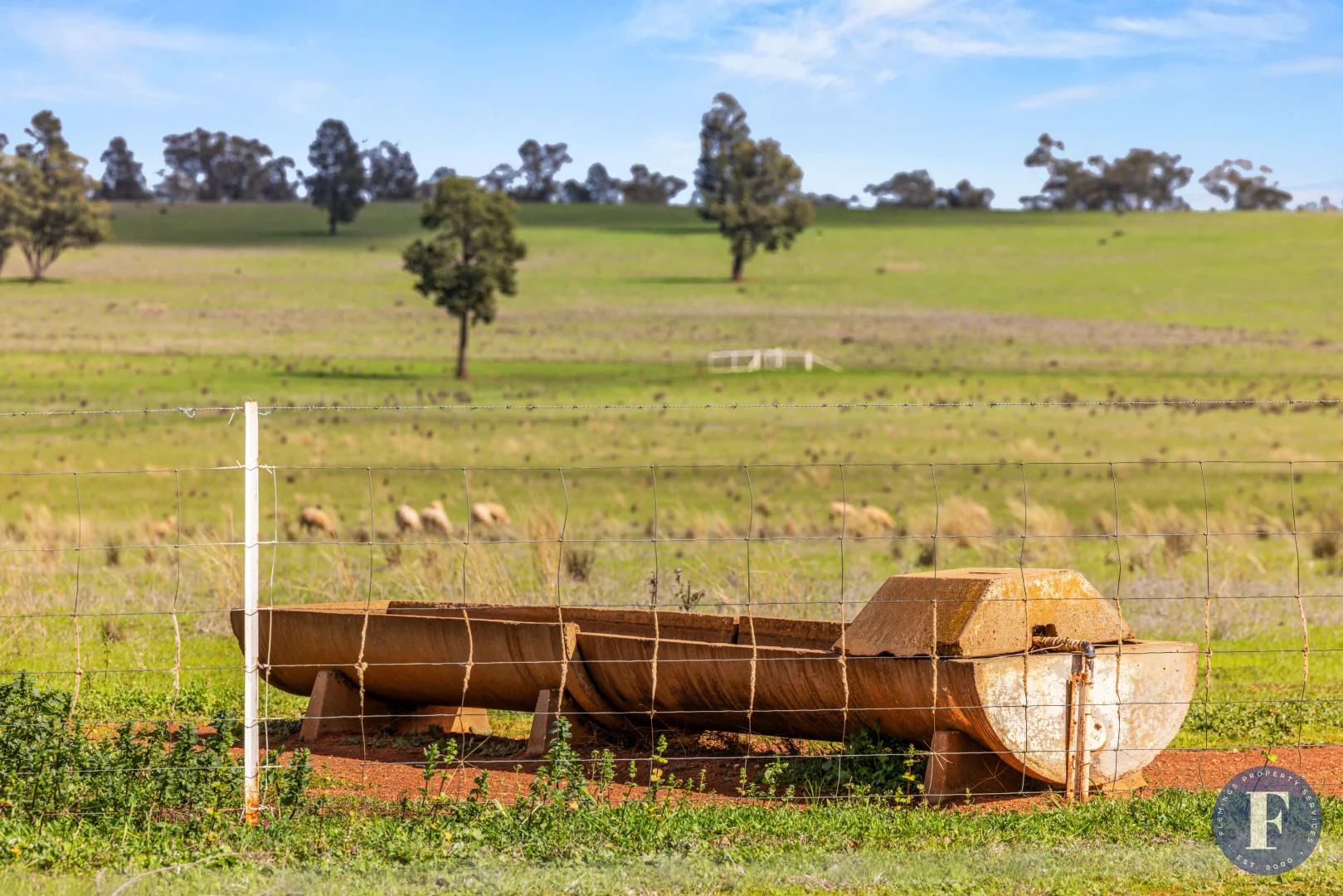 Additional image 9 of 893 Deaths Lane, Pullabooka NSW 2810