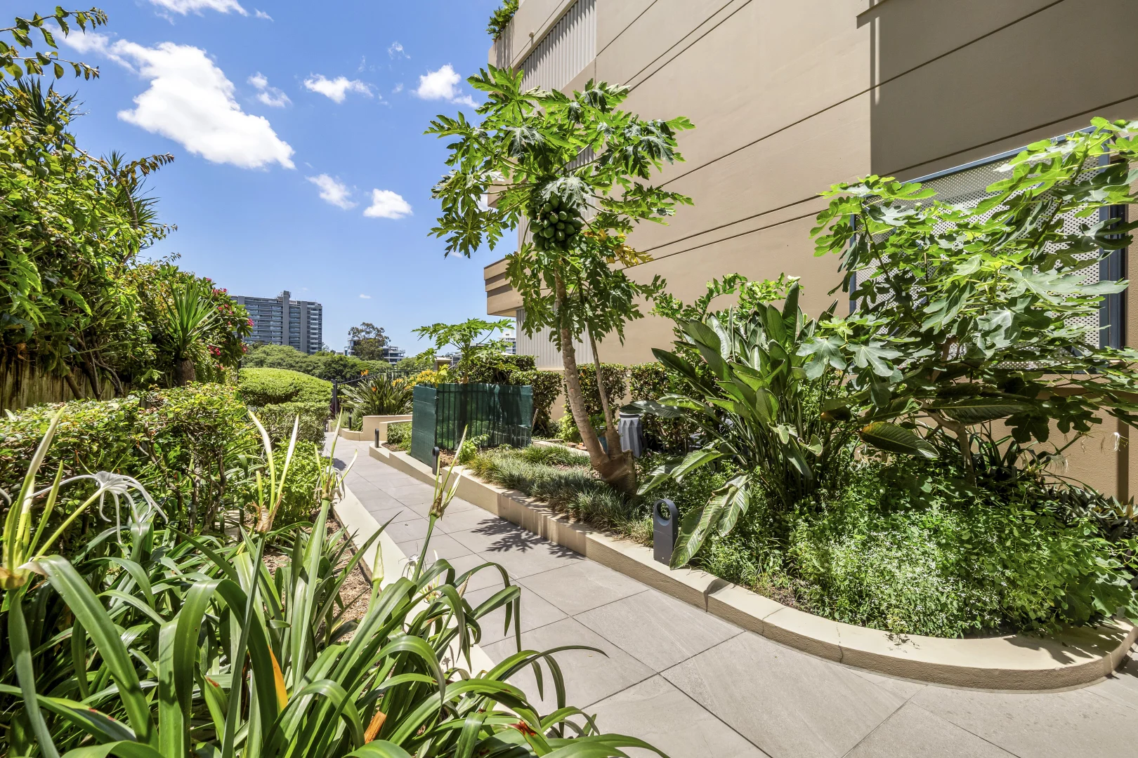 Additional image 20 of 27/76 Thorn Street, Kangaroo Point QLD 4169
