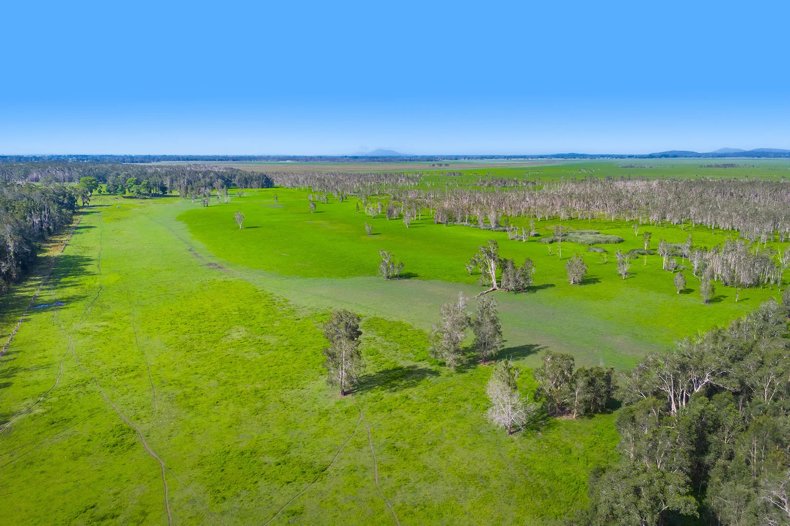 Additional image 5 of 1/437 Seale Road, Belmore River NSW 2440