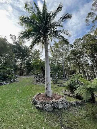 Additional image 27 of 150 Koonyum Range Road, Wilsons Creek NSW 2482