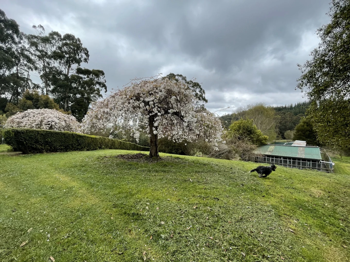 Additional image 5 of 43 Johnsons Lane, Willung South VIC 3847