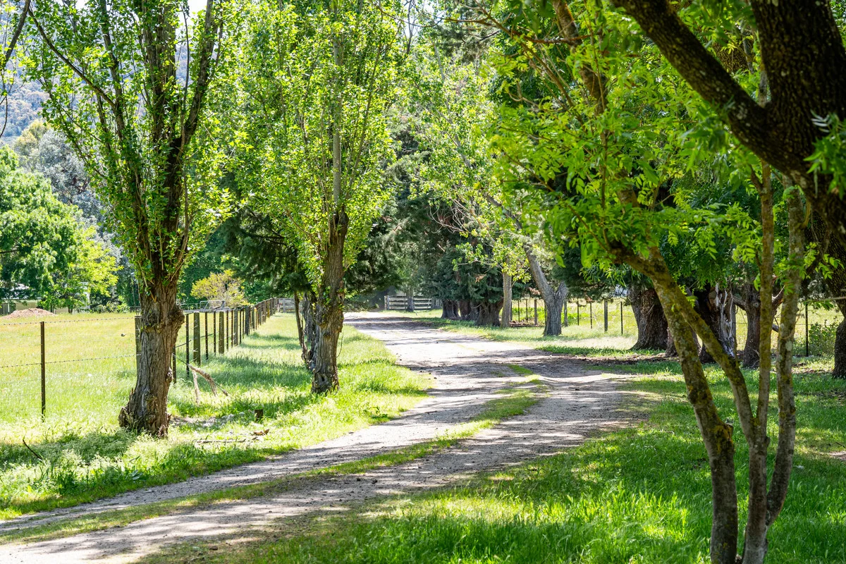 Additional image 4 of 672 Lima East Road, Lima East VIC 3673