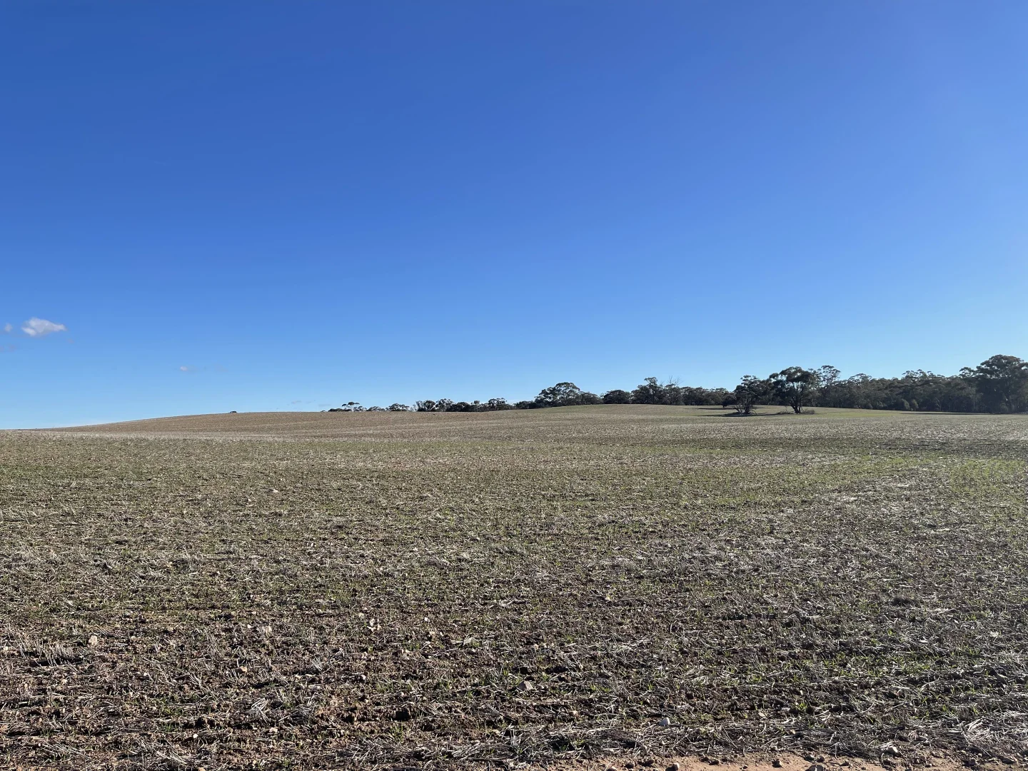 Additional image 23 of 54/54 Calder Highway, Wedderburn VIC 3518