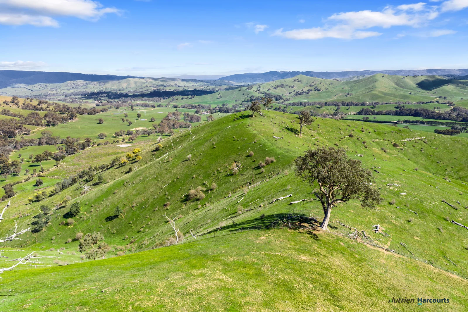 Additional image 5 of 53 Halls Outlet Road, Alexandra VIC 3714