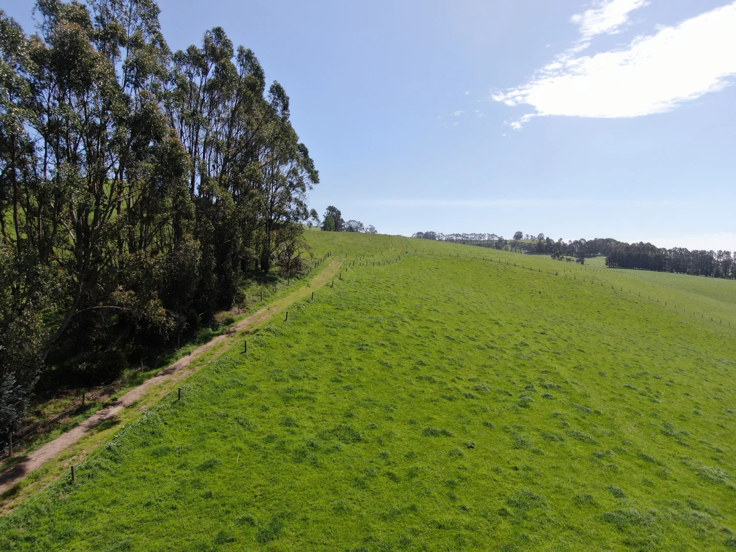 Additional image 30 of 365 Limonite Road, Boolarra South VIC 3870