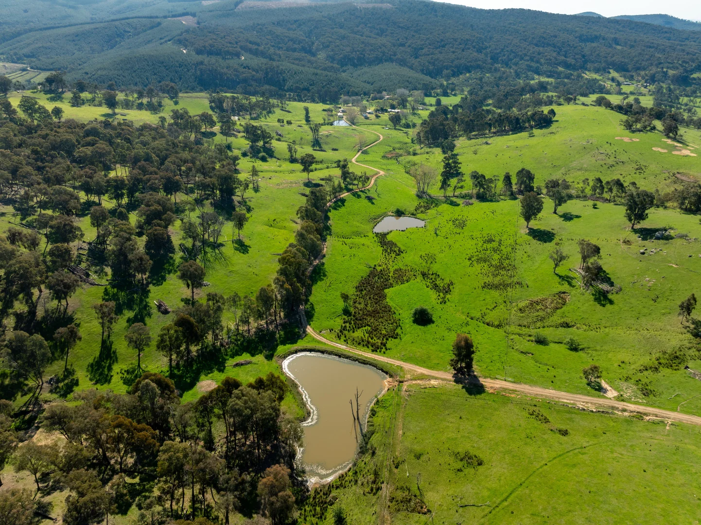 Additional image 4 of 315 Davies Road, Warrenbayne VIC 3670