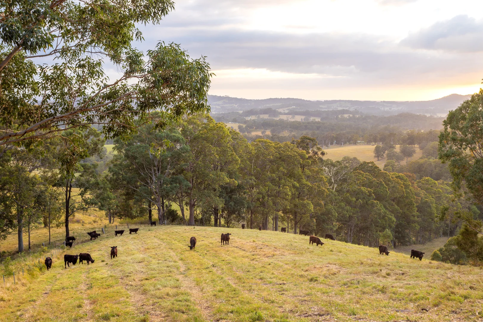 Additional image 16 of 152 Red Gully Road, Burrell Creek NSW 2429