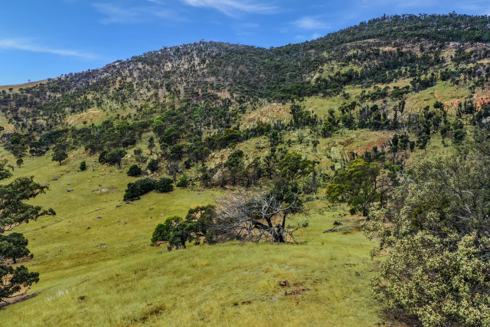 Additional image 11 of LOT 2 ON PS716983N L J DAWSON ROAD, Elmhurst VIC 3469