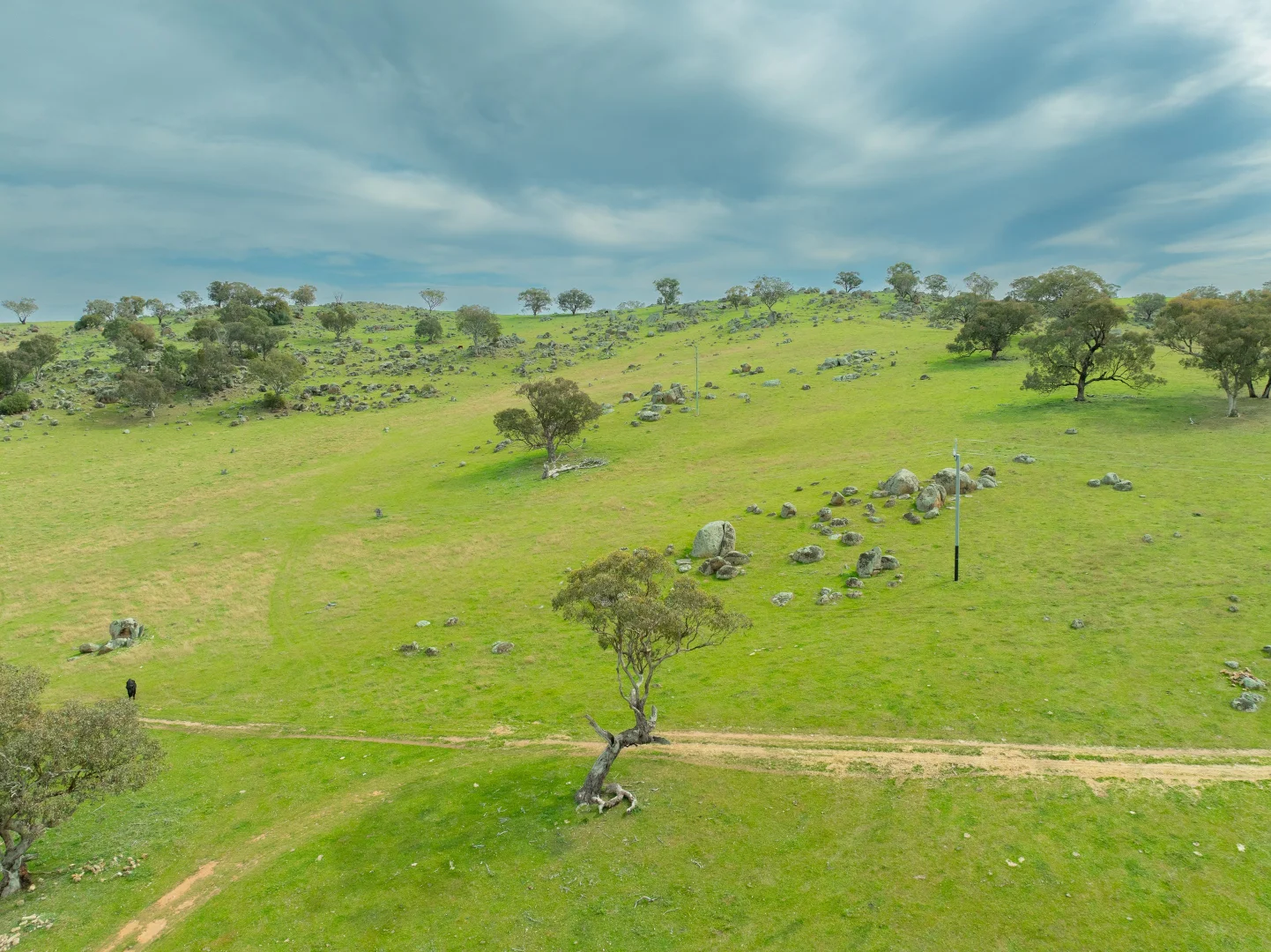 Additional image 6 of Cemetery Road, Murrumburrah NSW 2587