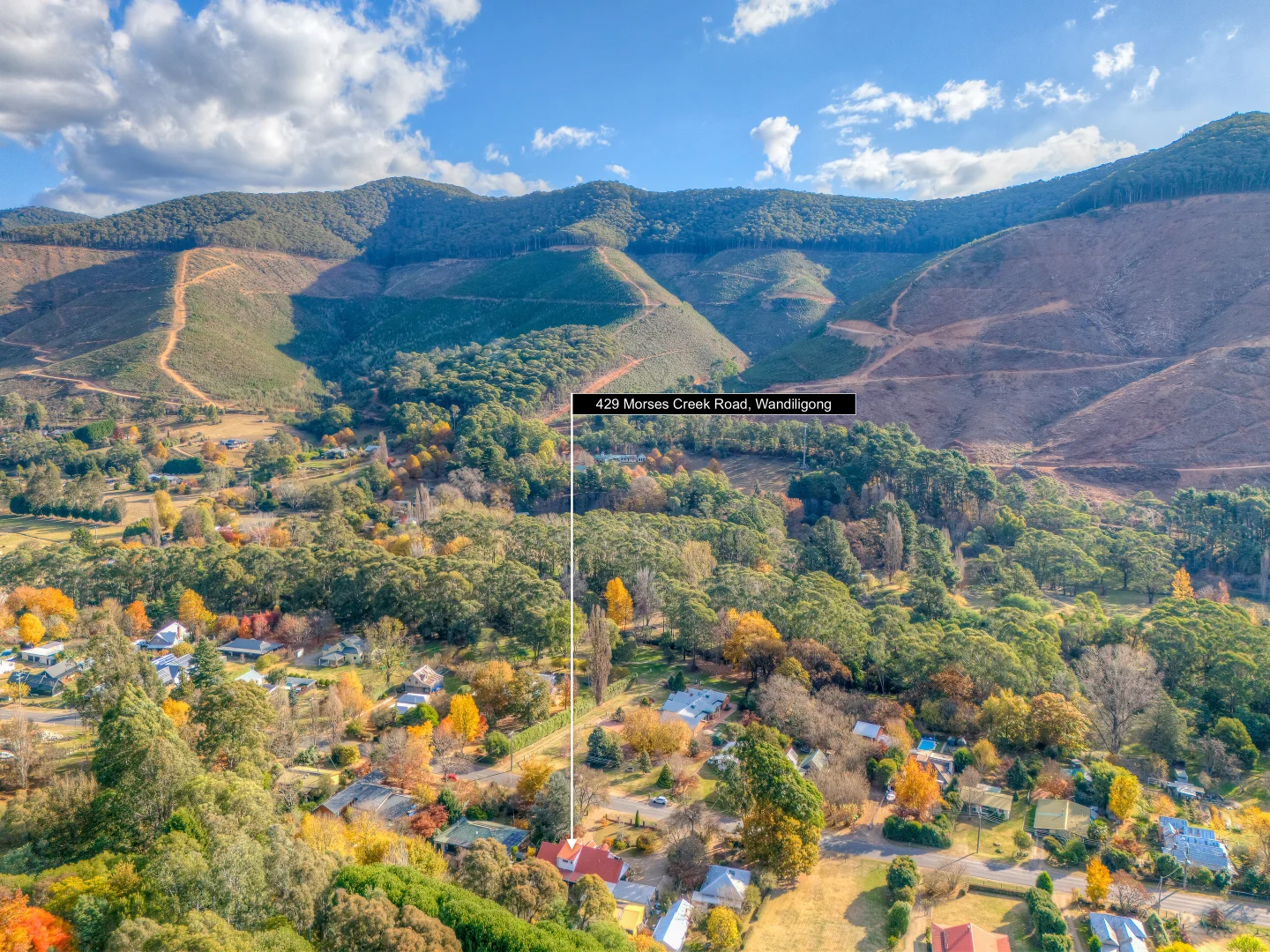 Additional image 23 of 429 Morses Creek Road, Wandiligong VIC 3744