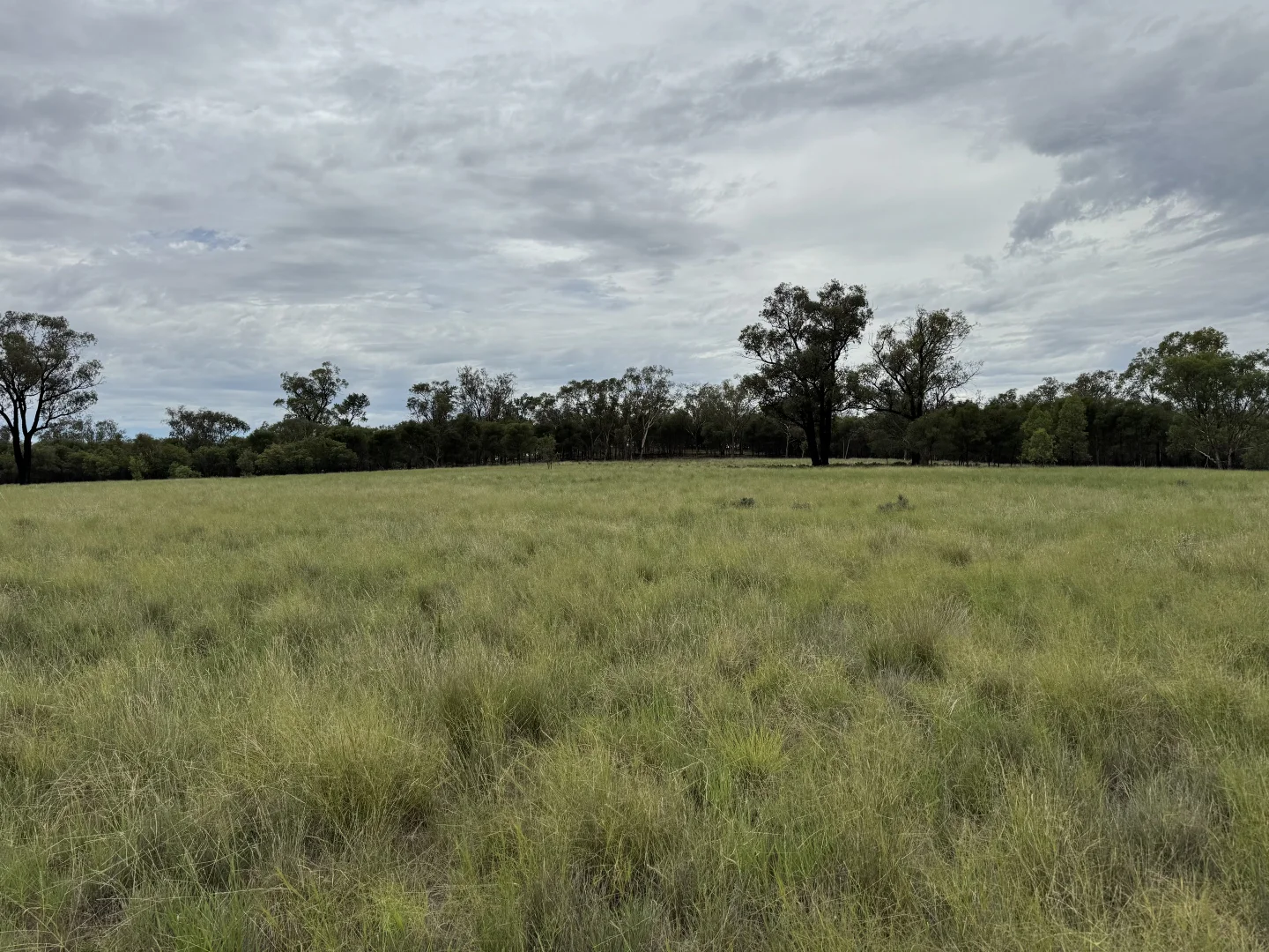 Additional image 21 of 2823 Hermidale Nymagee Road, Hermidale NSW 2831