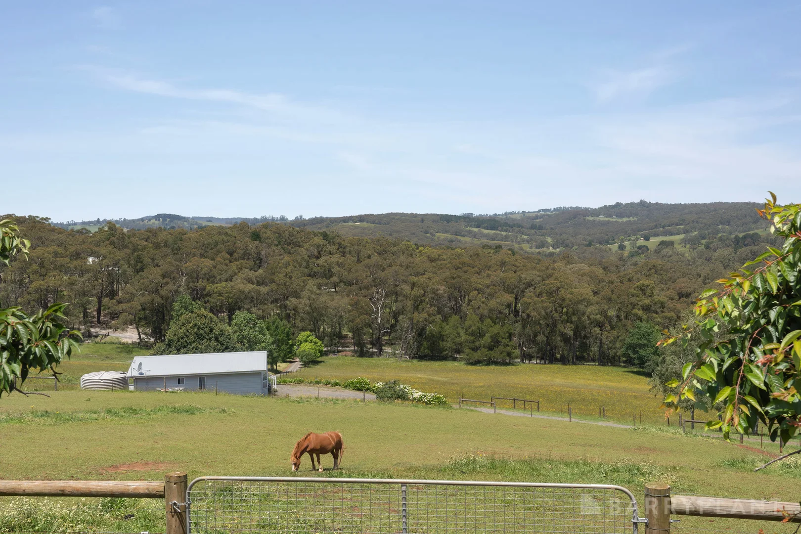 Additional image 15 of 81 Jardine Road, Macclesfield VIC 3782
