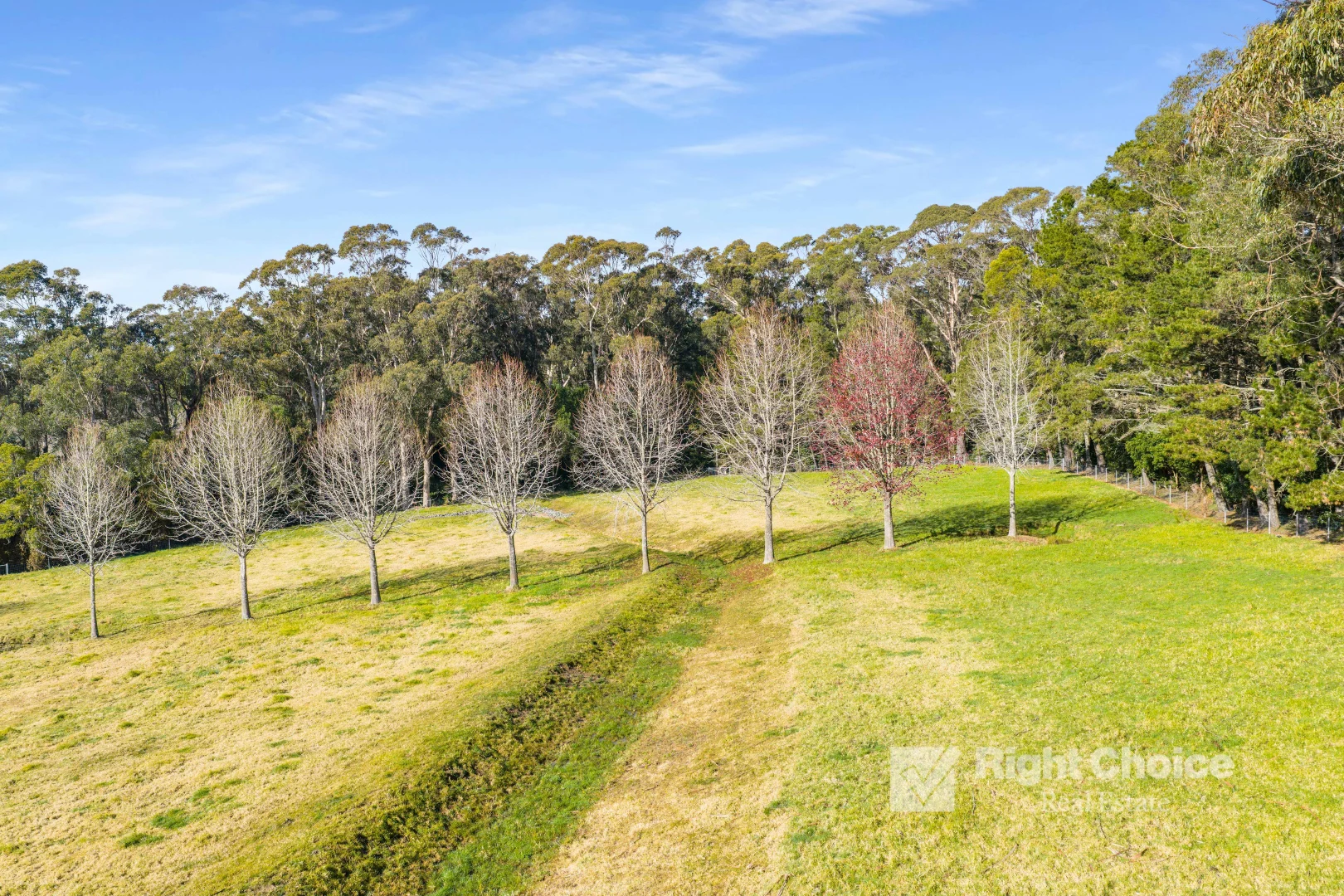 Additional image 34 of 1 McGuinness Drive, Mount Murray NSW 2577