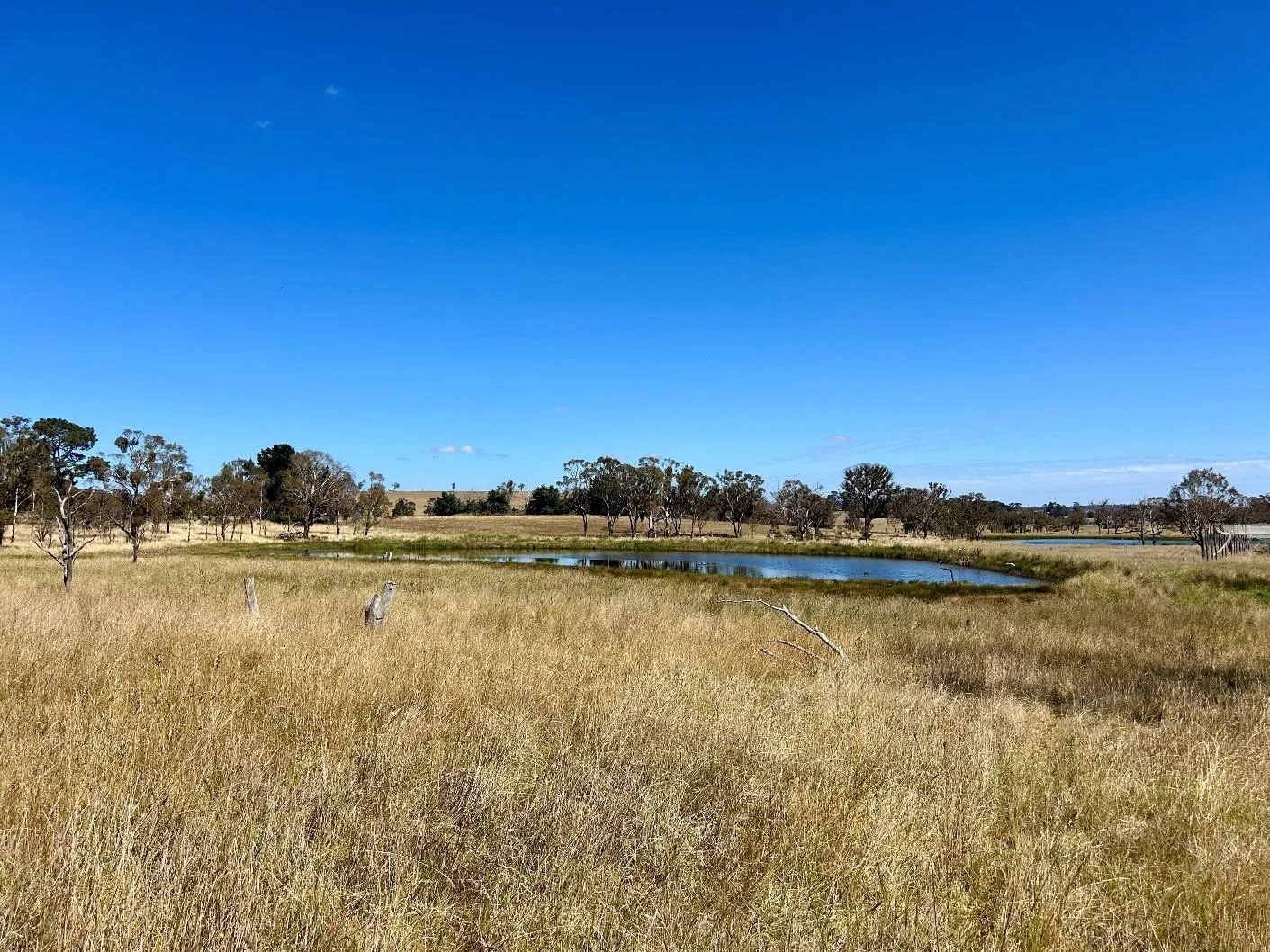 Additional image 20 of 42 Mabbotts Lane, Kentucky NSW 2354