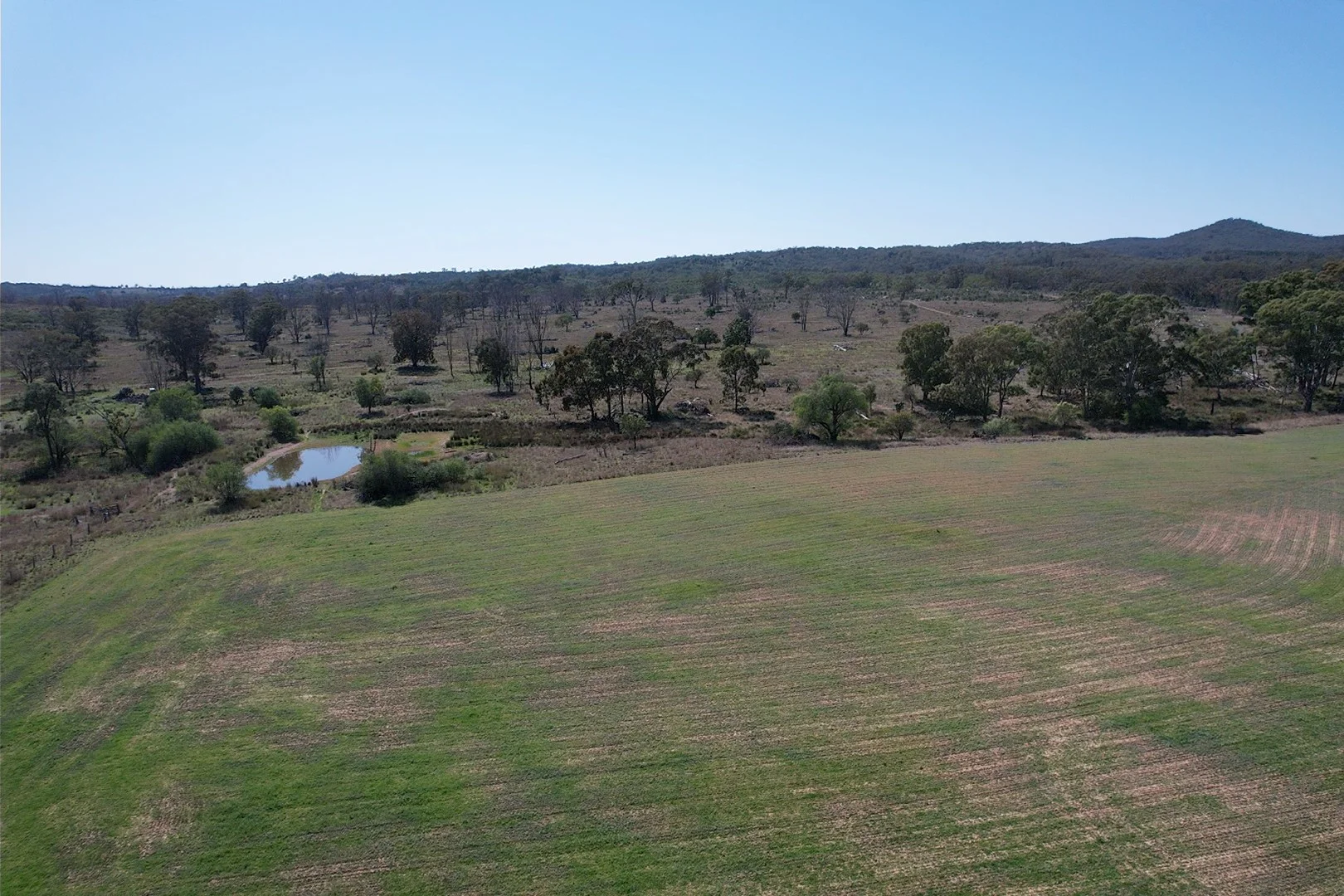 Additional image 7 of 3094 Mosquito Creek Road, Mosquito Creek QLD 4387