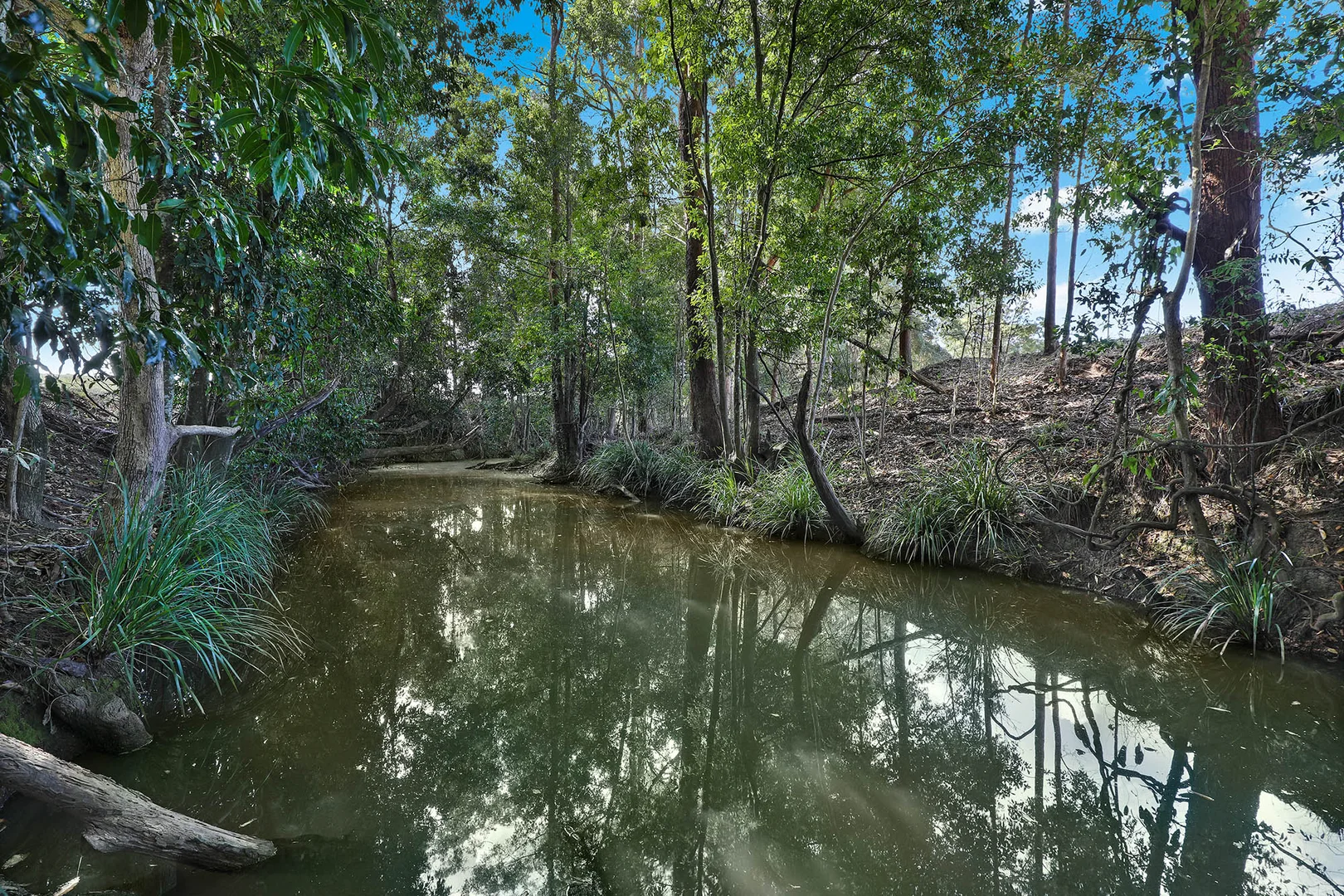 Additional image 9 of Lot 4/91 Yandina Bli Bli Road, Yandina QLD 4561