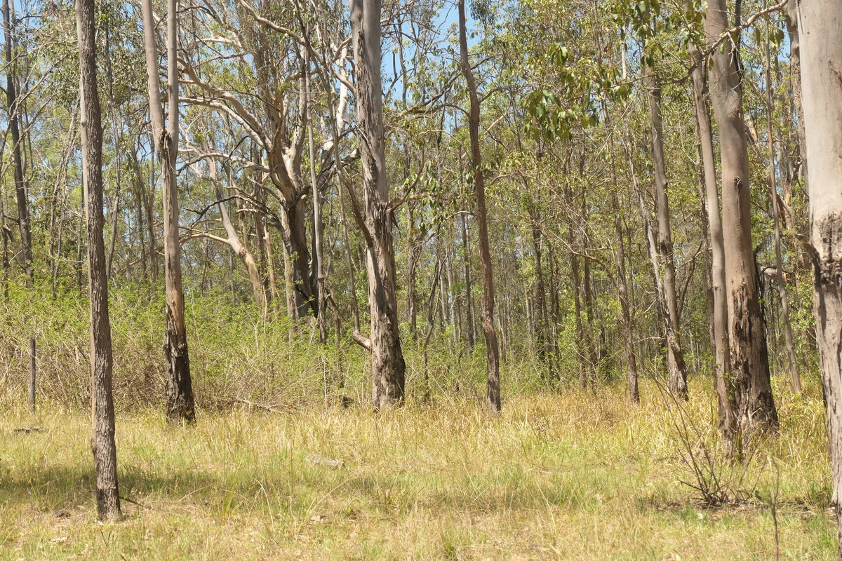 Additional image 6 of 4 Kimbin Pikapene Road, Tabulam NSW 2469
