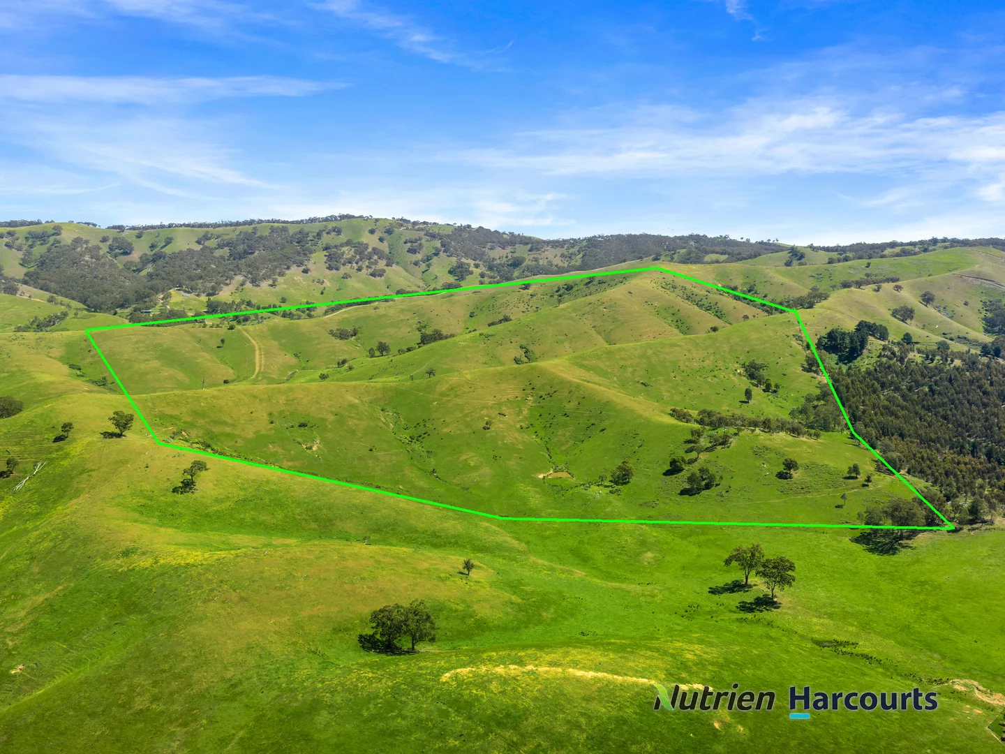 Additional image 4 of 356 Mcnallys Road, Strath Creek VIC 3658