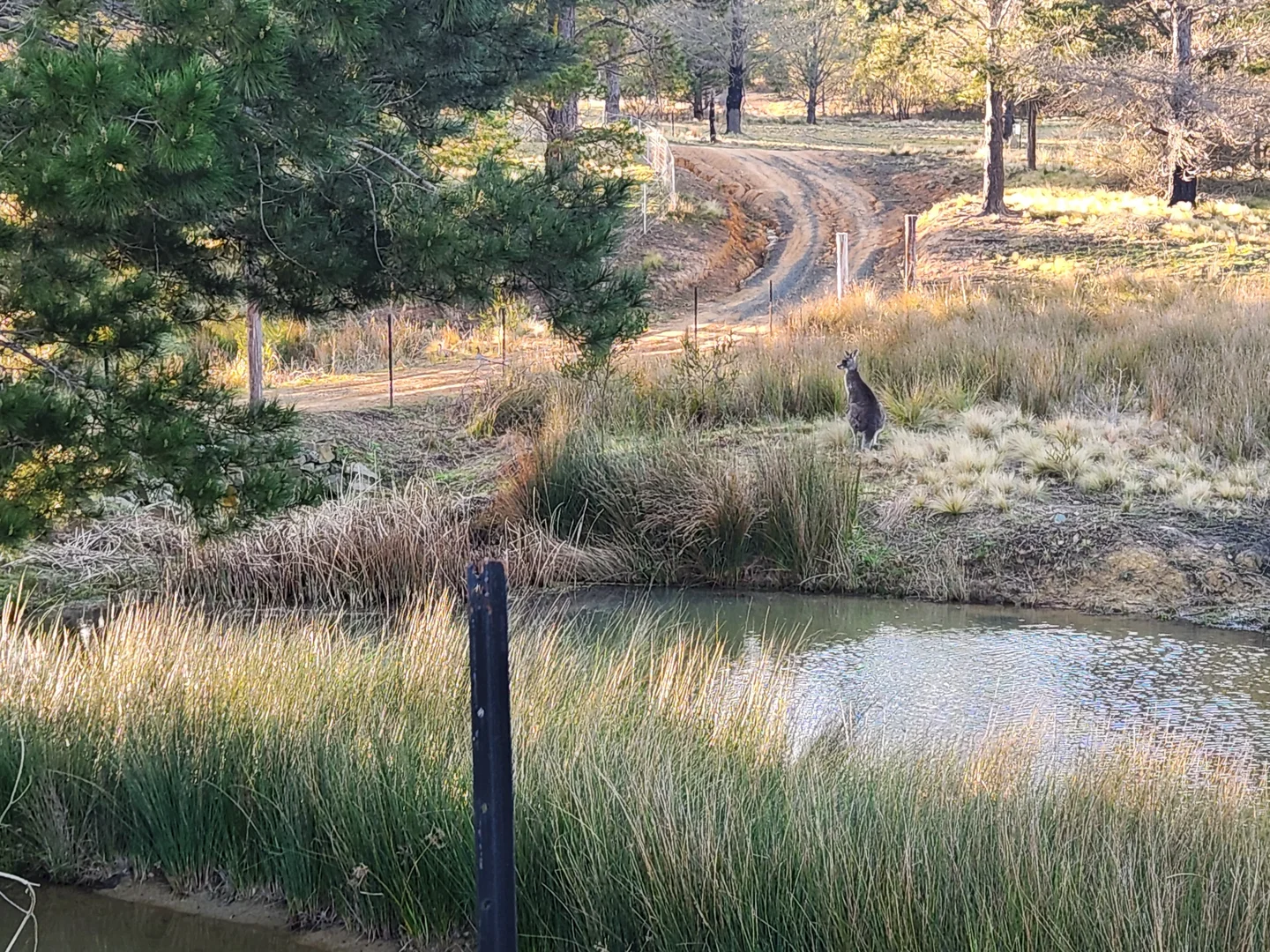 Additional image 20 of 480 Tall Timbers Road, Tomboye NSW 2622