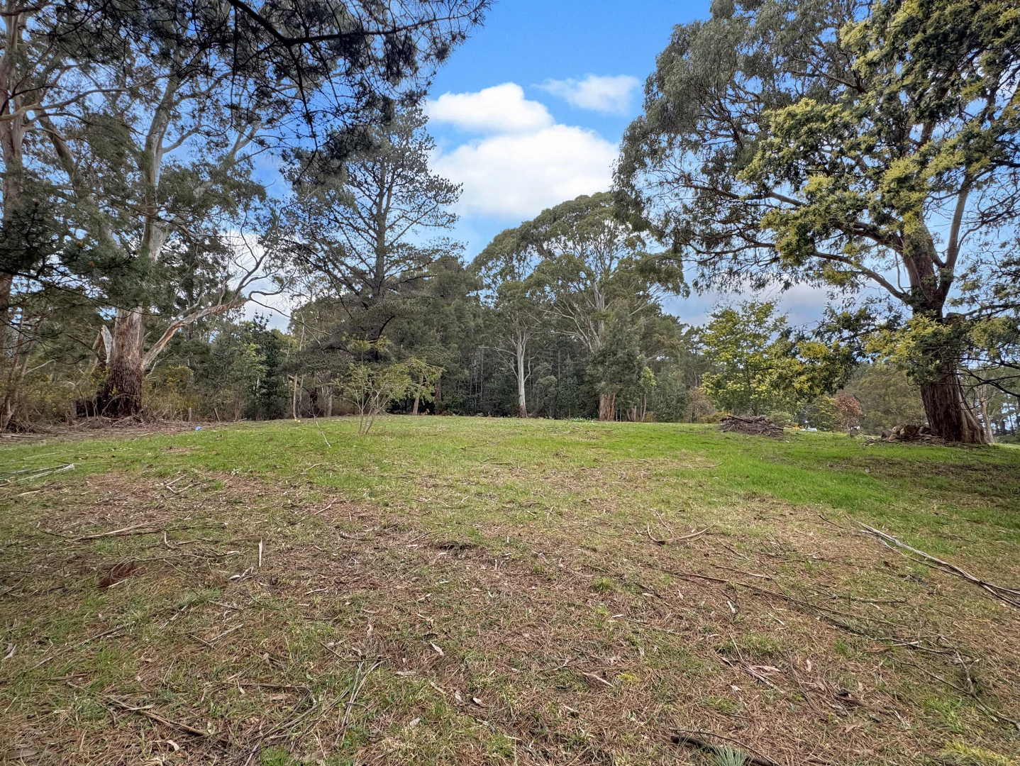 Additional image 11 of 15 Newman Street, St Marys TAS 7215