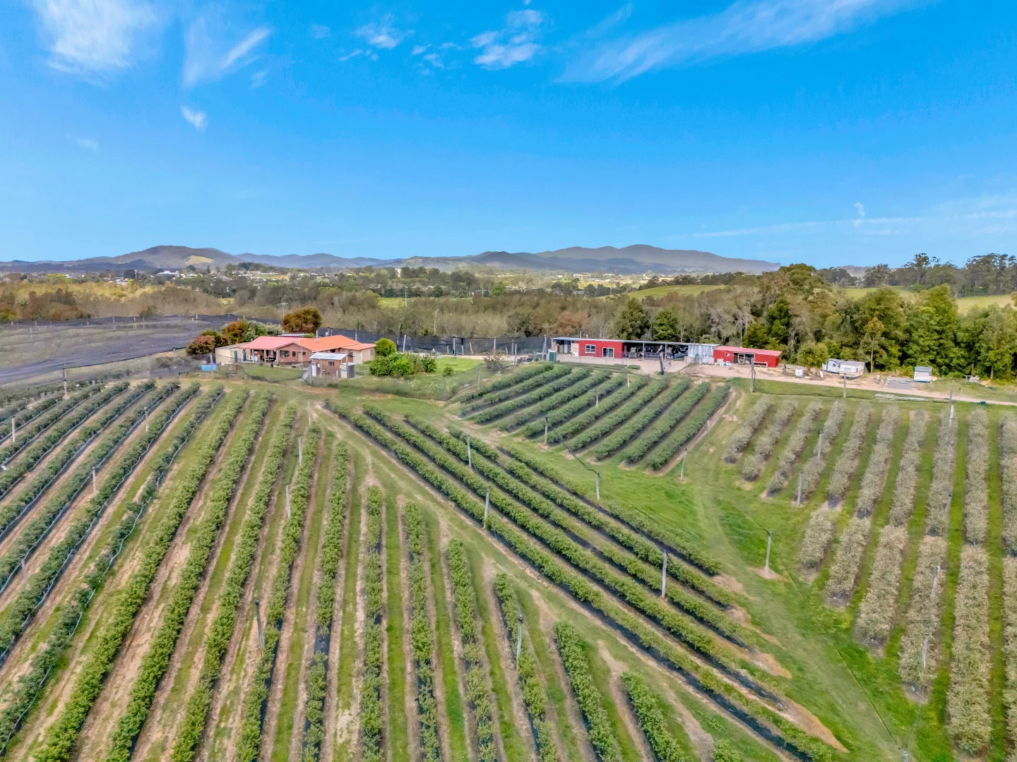 Additional image 20 of 13 Schuppe Drive, Congarinni North NSW 2447