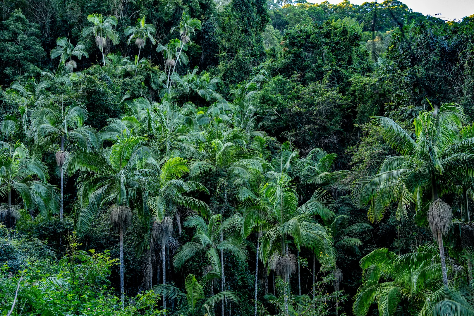 Additional image 15 of Sleepy Hollow NSW 2483