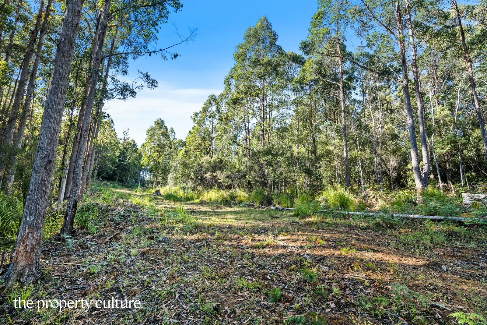 Additional image 10 of 2 Deering Street, Franklin TAS 7113