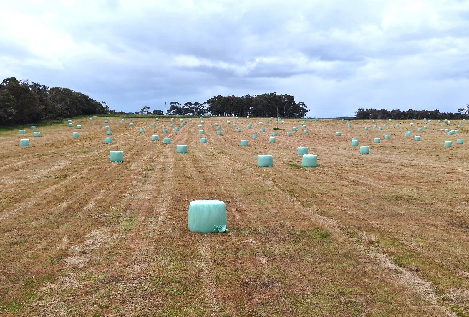 Additional image 8 of 327 Lilydale Road, Youngs Siding WA 6330