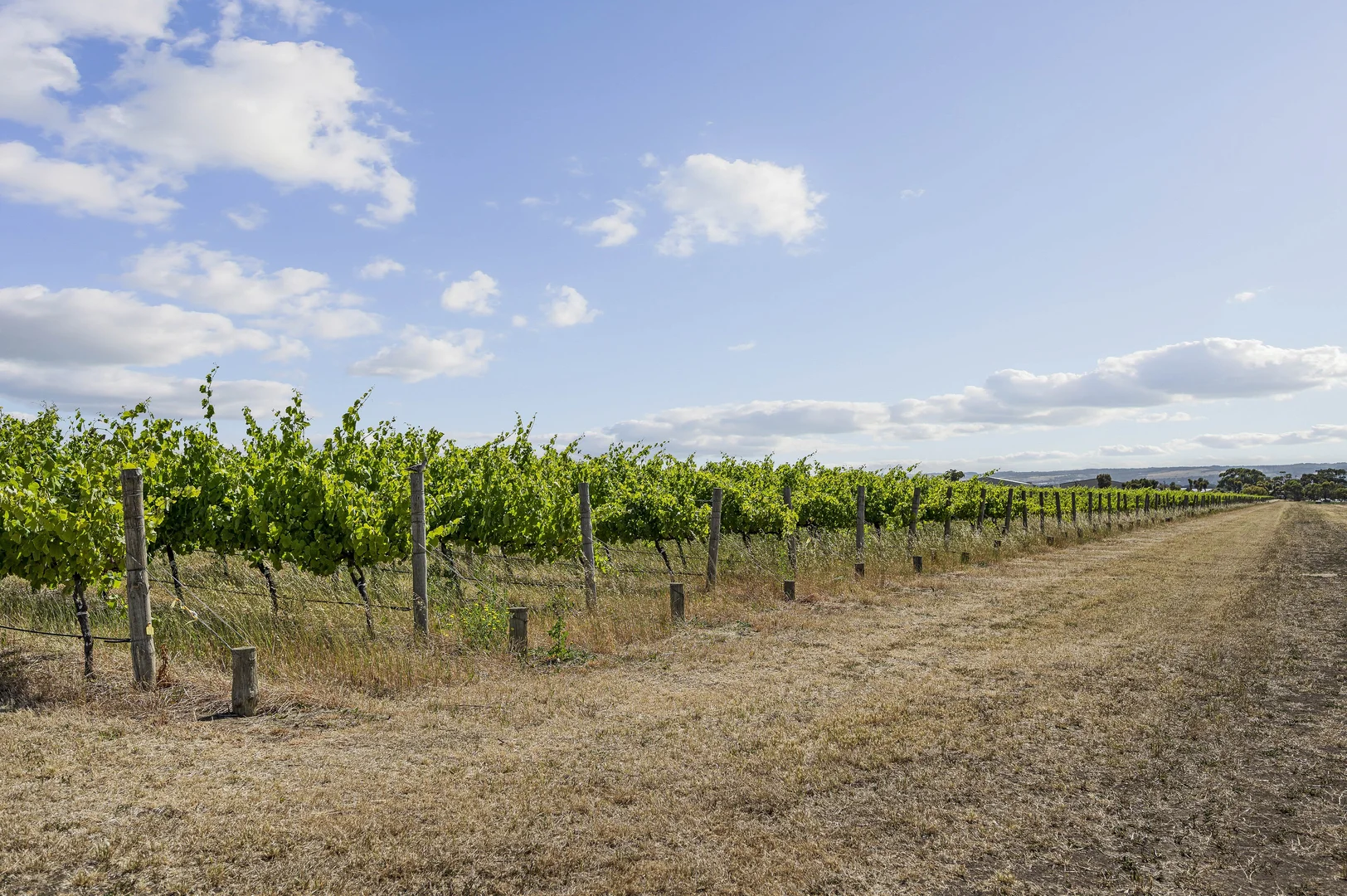 Additional image 9 of Lot 2 Plains Road, Aldinga SA 5173