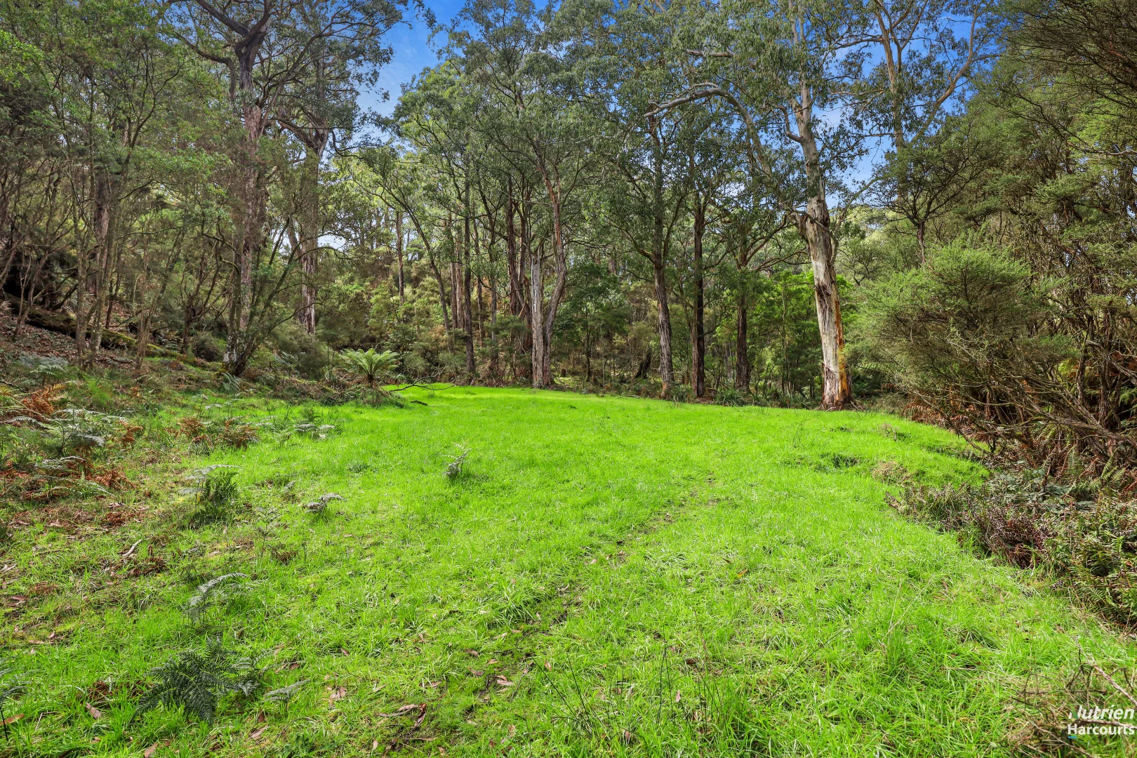 Additional image 7 of 201 Turrong Road, Cooriemungle VIC 3268