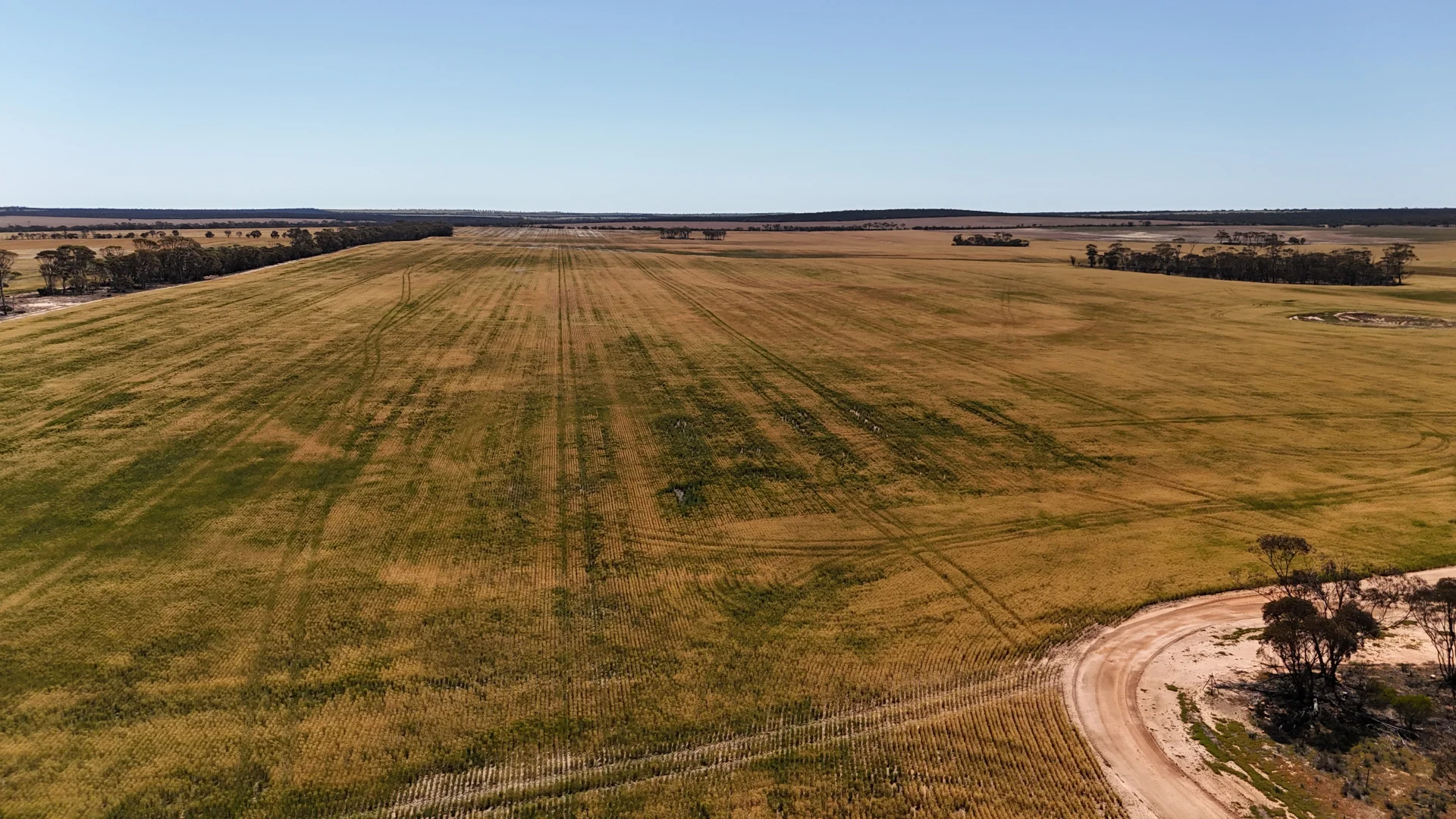 Additional image 45 of 3279 Calzoni Road, Hyden WA 6359