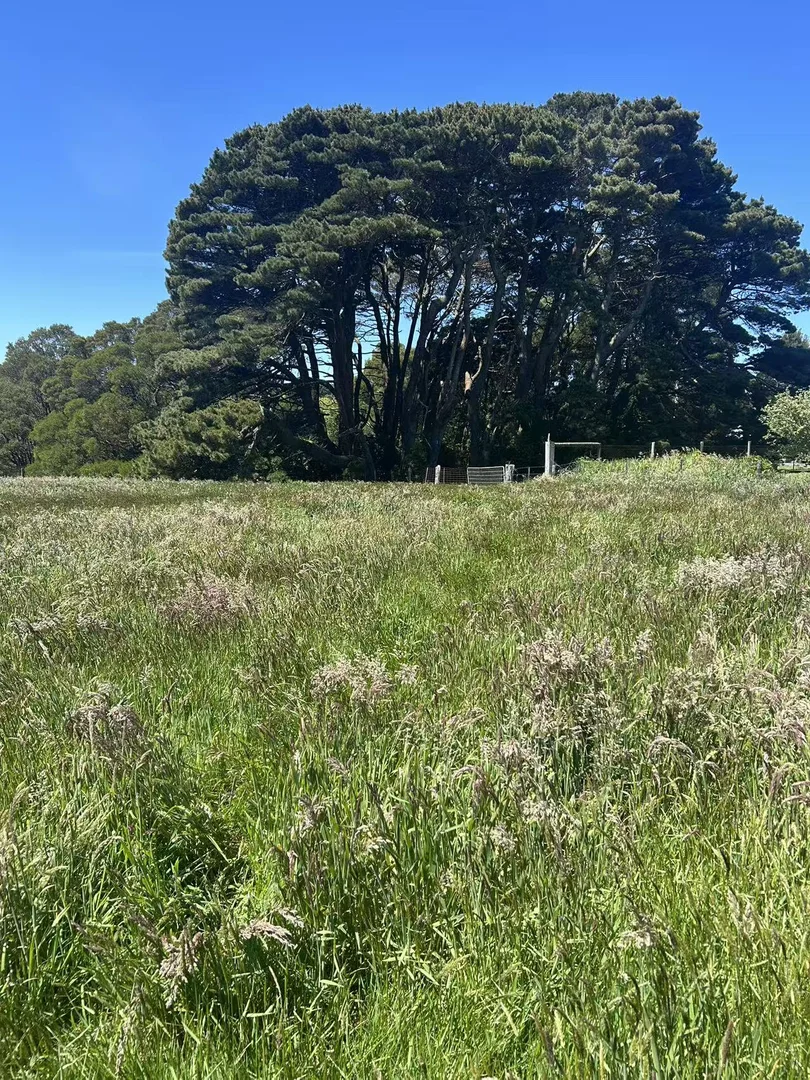 Additional image 7 of 18A Great Ocean Road, Lavers Hill VIC 3238