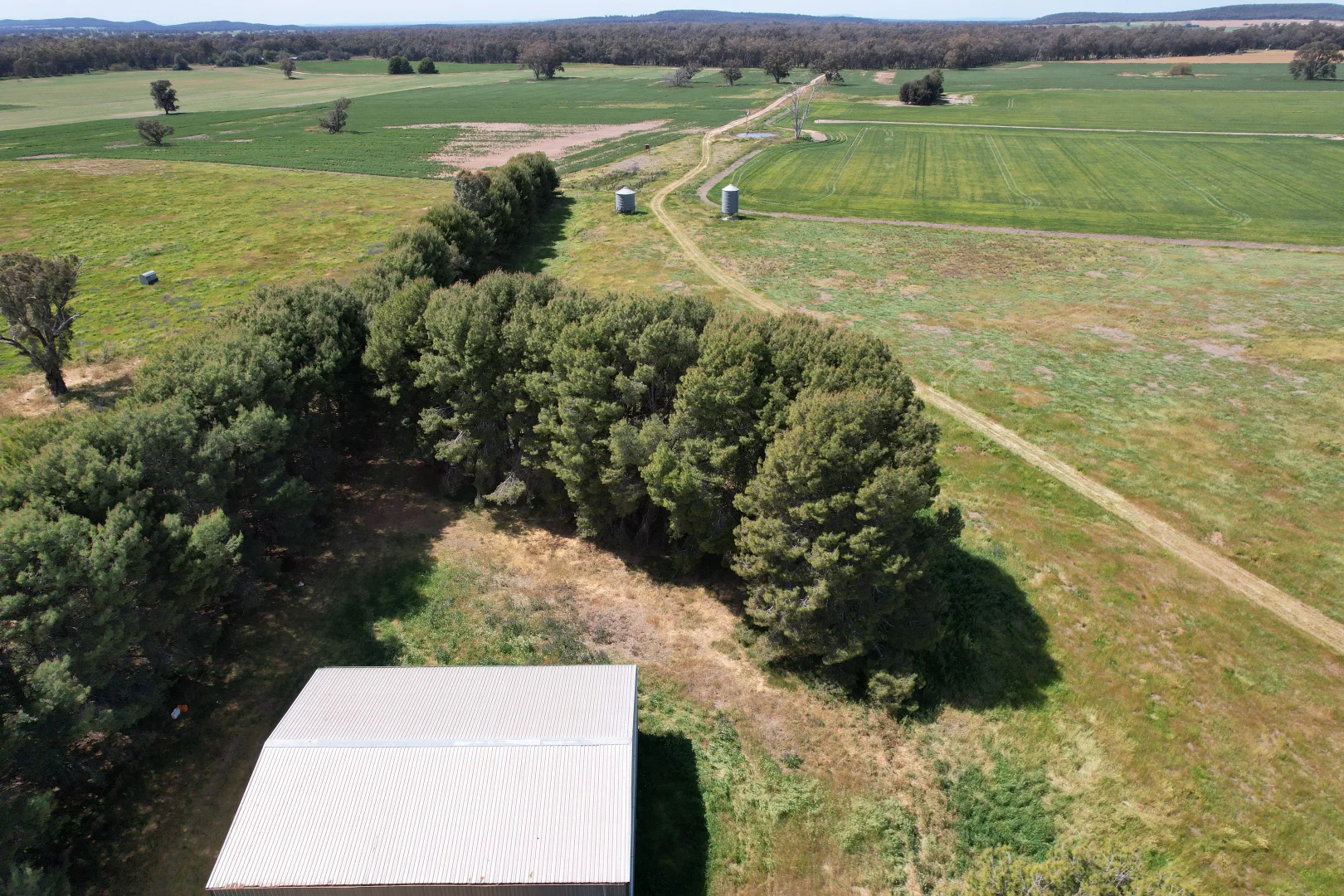 Additional image 18 of 2071 Yarrabandai Road, Bedgerabong NSW 2871