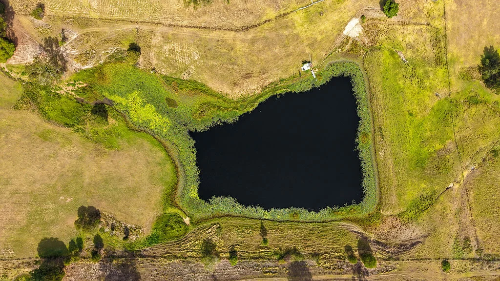 Additional image 47 of 857 Willina Road, Willina NSW 2423