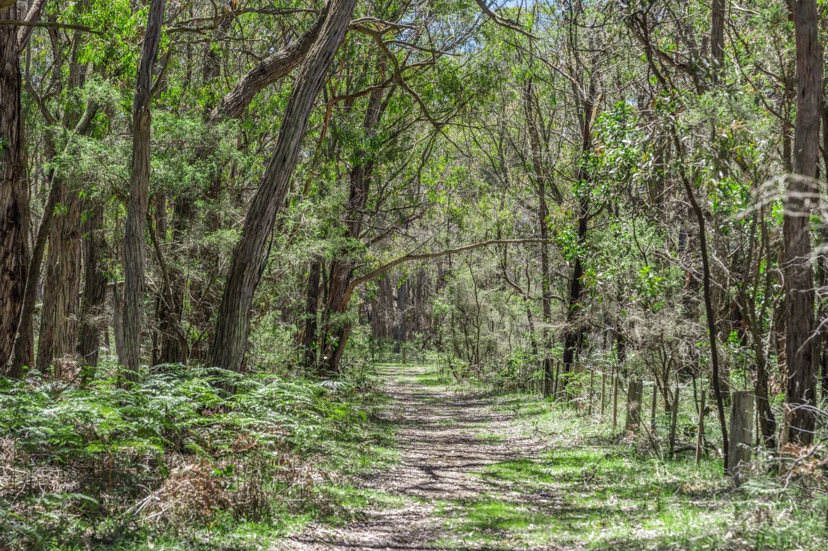 Additional image 7 of 10 Holloways Road, Wensleydale VIC 3241