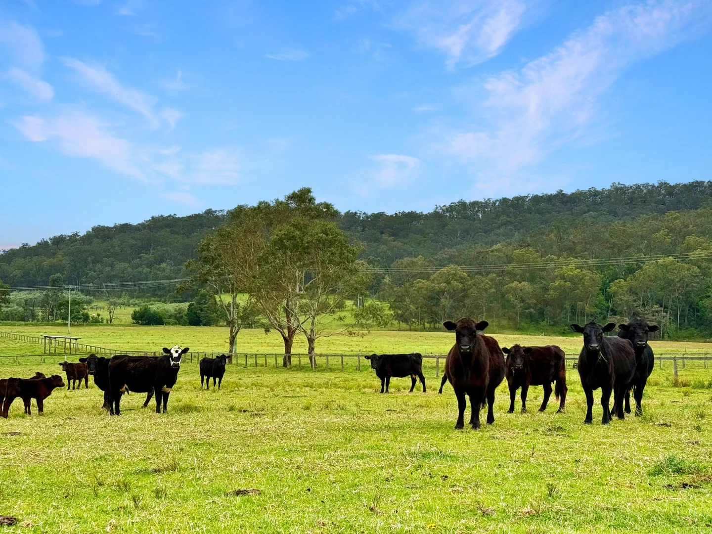 Additional image 10 of 3983 Great North Road, Laguna NSW 2325