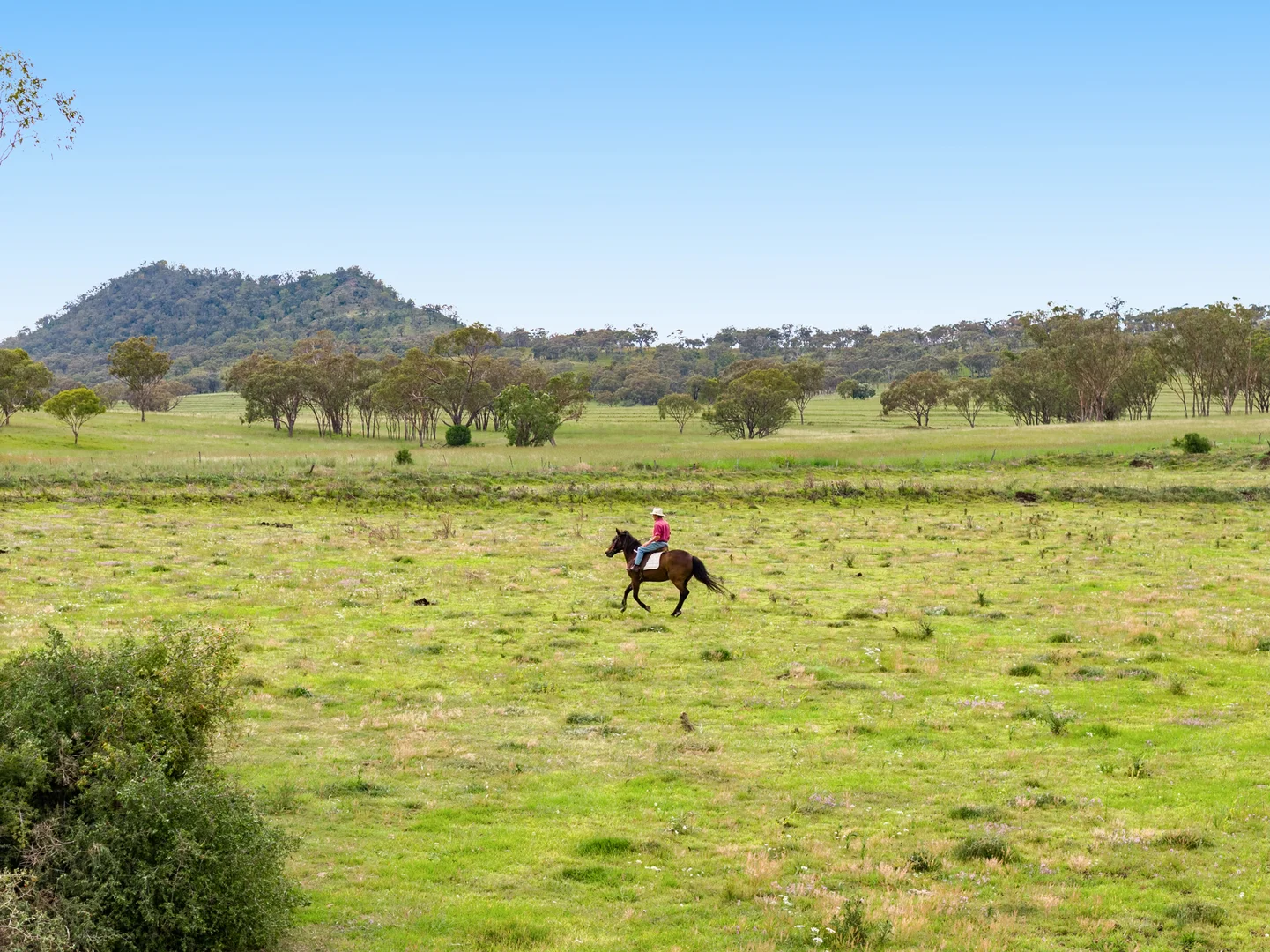 Additional image 11 of "Mainbar Rise" Lot 1 Inverramsay Road, Goomburra QLD 4362