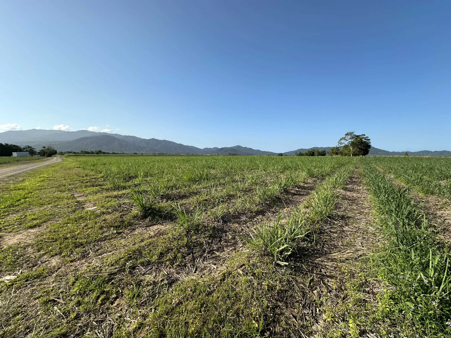 Additional image 5 of Lot 2 Broderick Road, Midgenoo QLD 4854