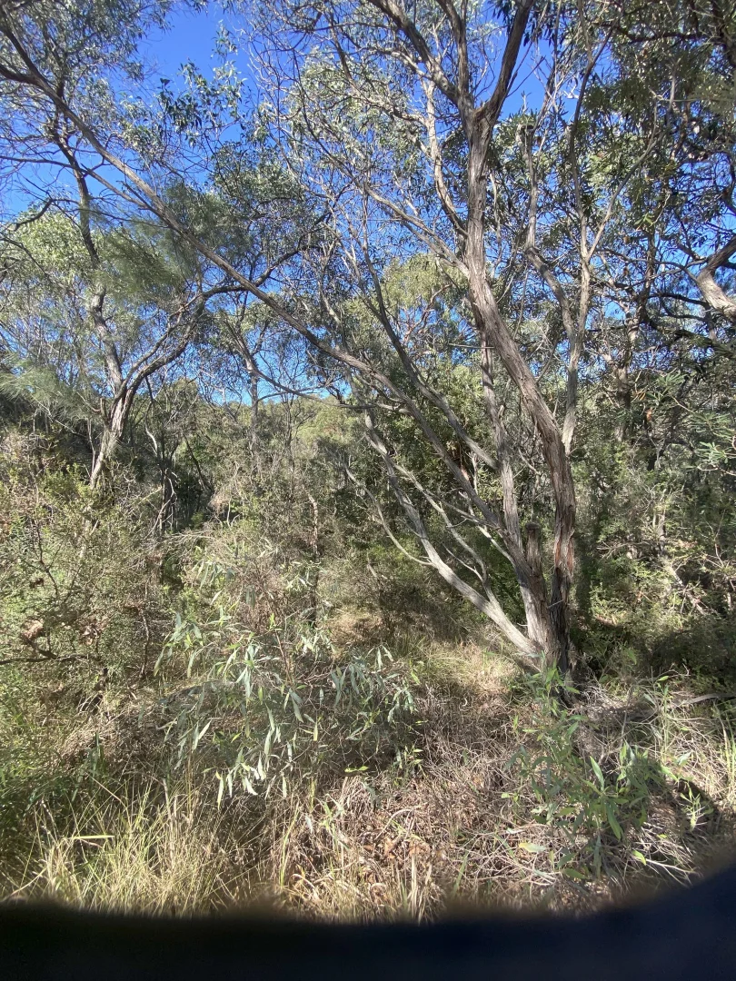 Additional image 3 of Lot 1 Marloo Avenue, K'Gari QLD 4581