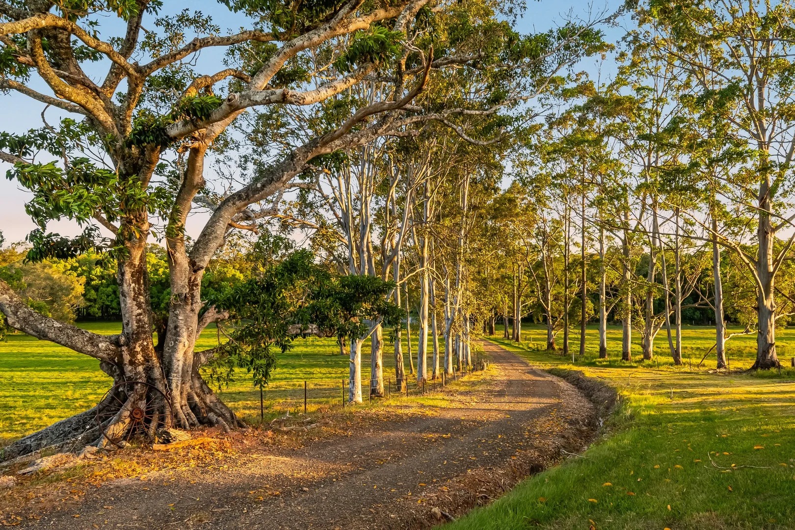 Additional image 4 of 428 Old Bagotville Road, Meerschaum Vale NSW 2477