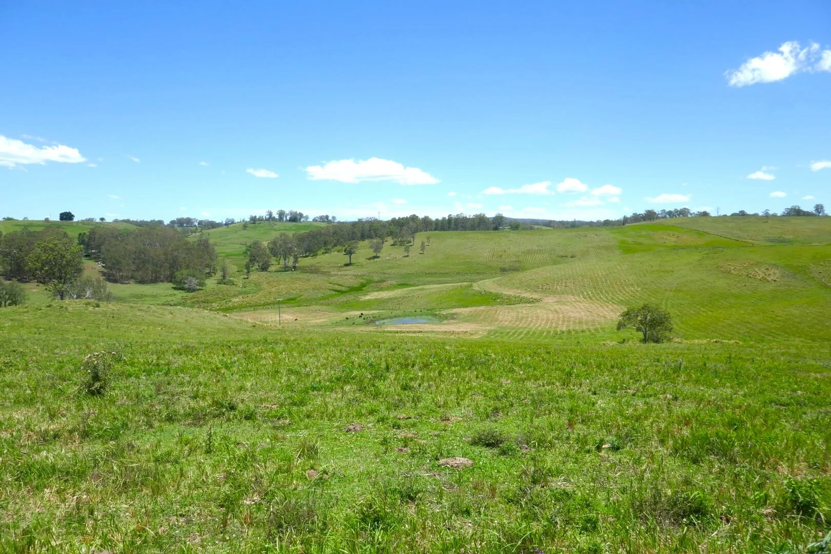 Additional image 7 of 600 Old Dyraaba Road, Casino NSW 2470