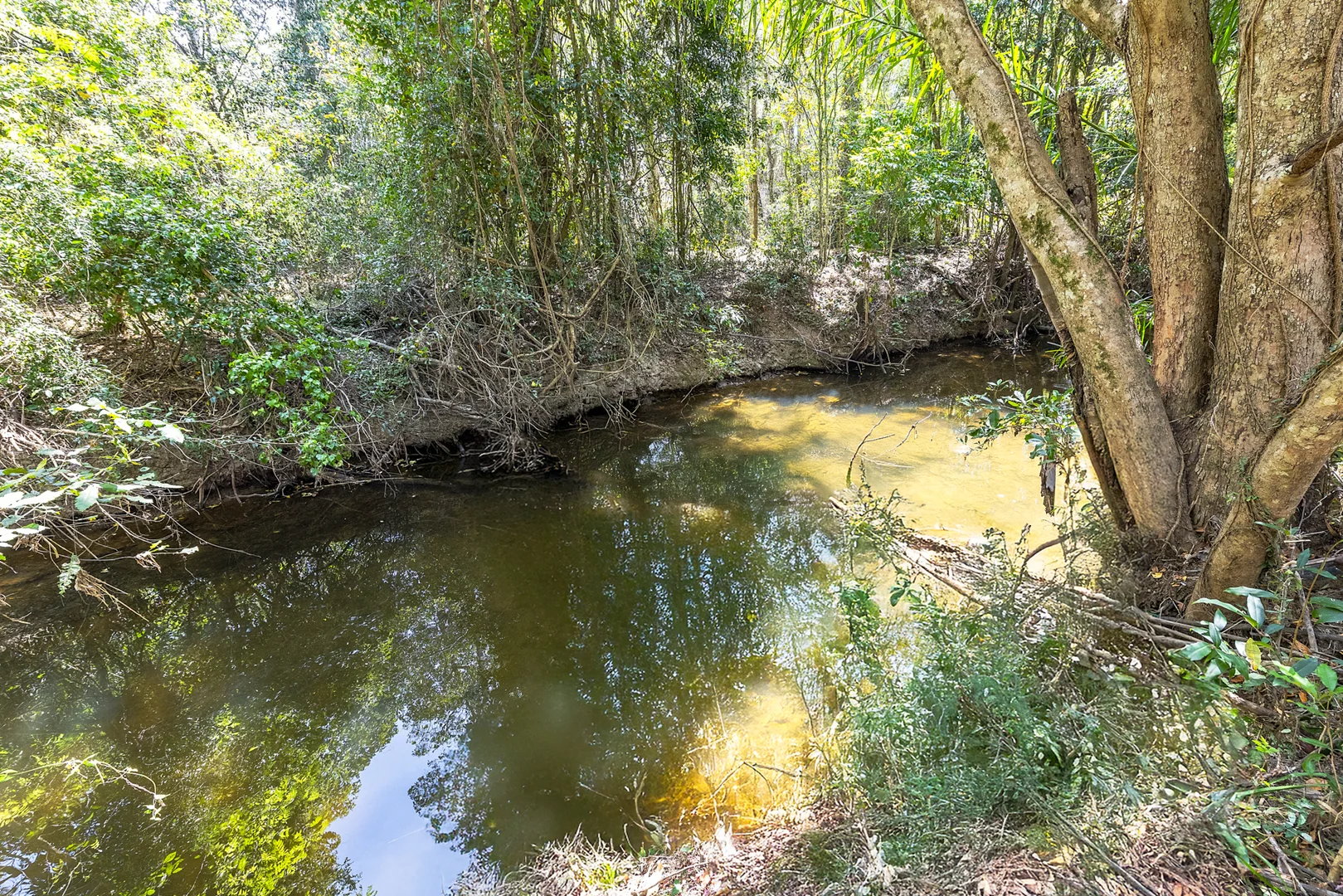 Additional image 31 of 147 Varley Road North, Glenwood QLD 4570