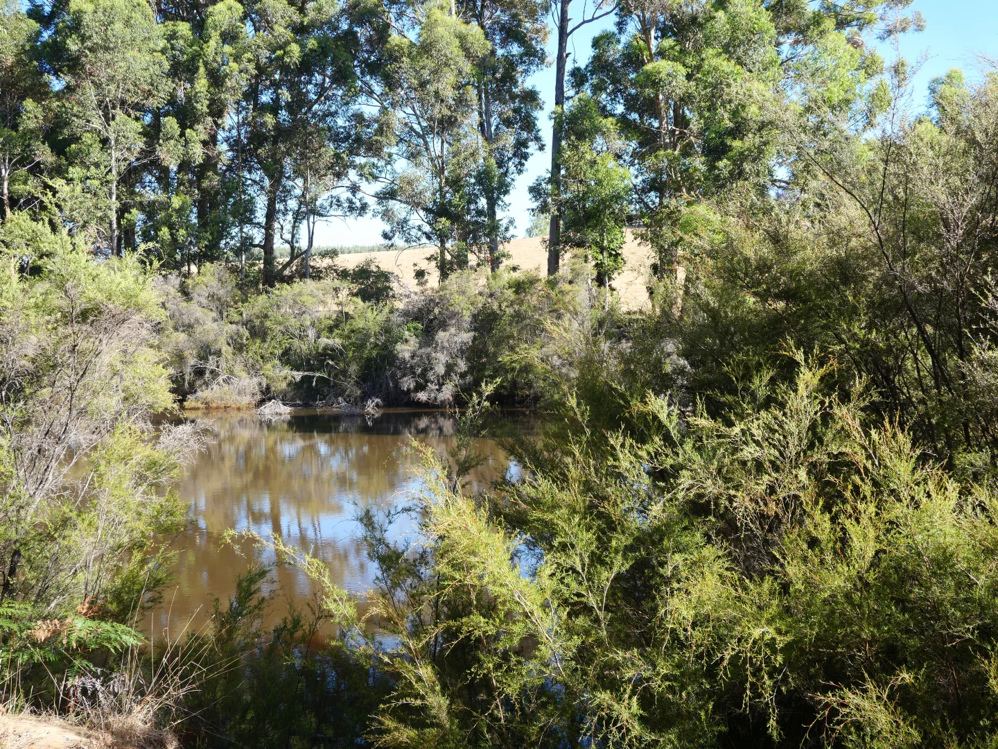 Additional image 11 of 61 Hayes Road, East Nannup WA 6275