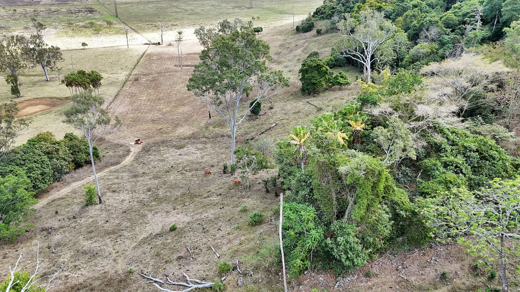 Additional image 23 of 91901 Bruce Highway, Alligator Creek QLD 4740