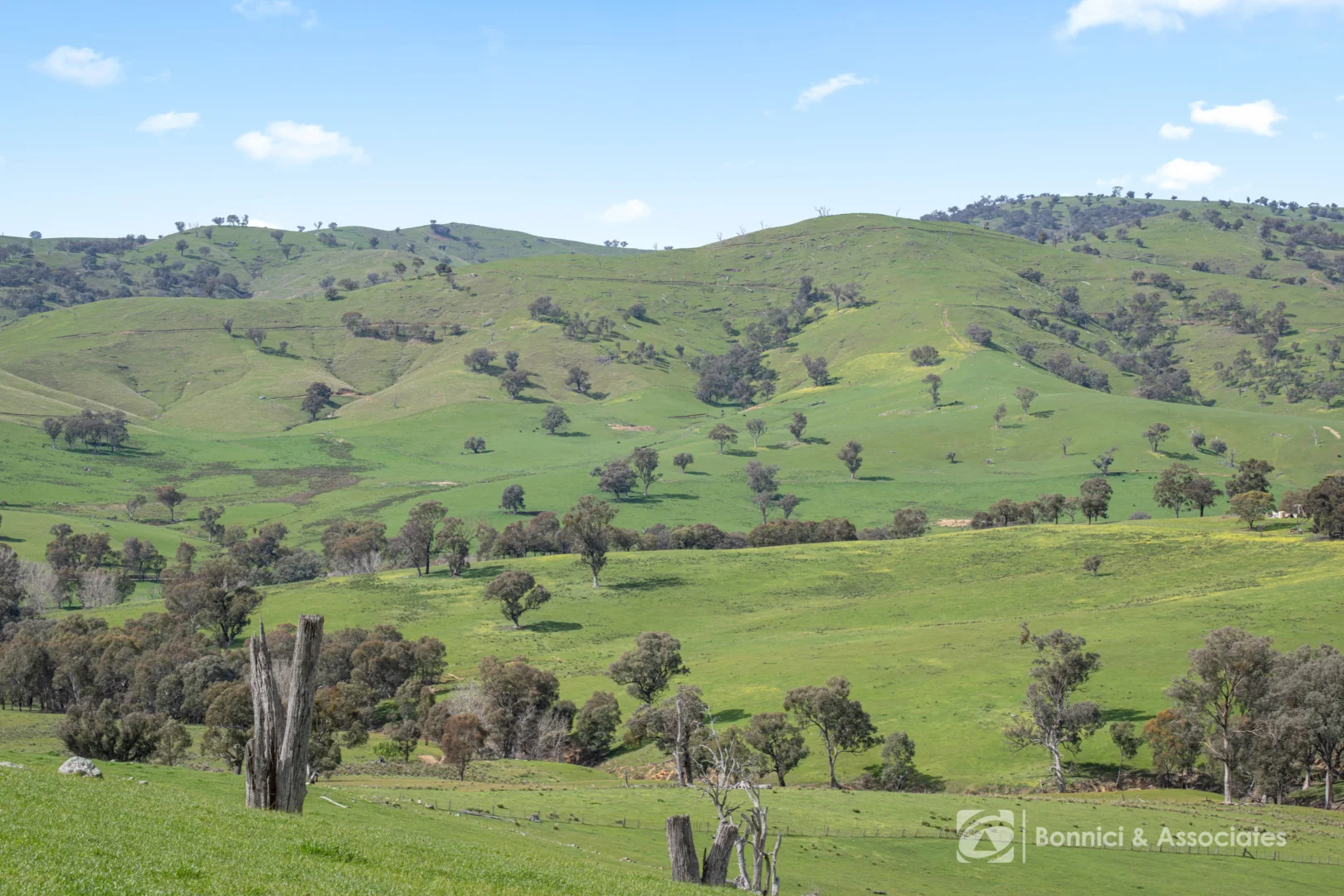 Additional image 8 of BARTLETTS Springdale Road, Bethanga VIC 3691